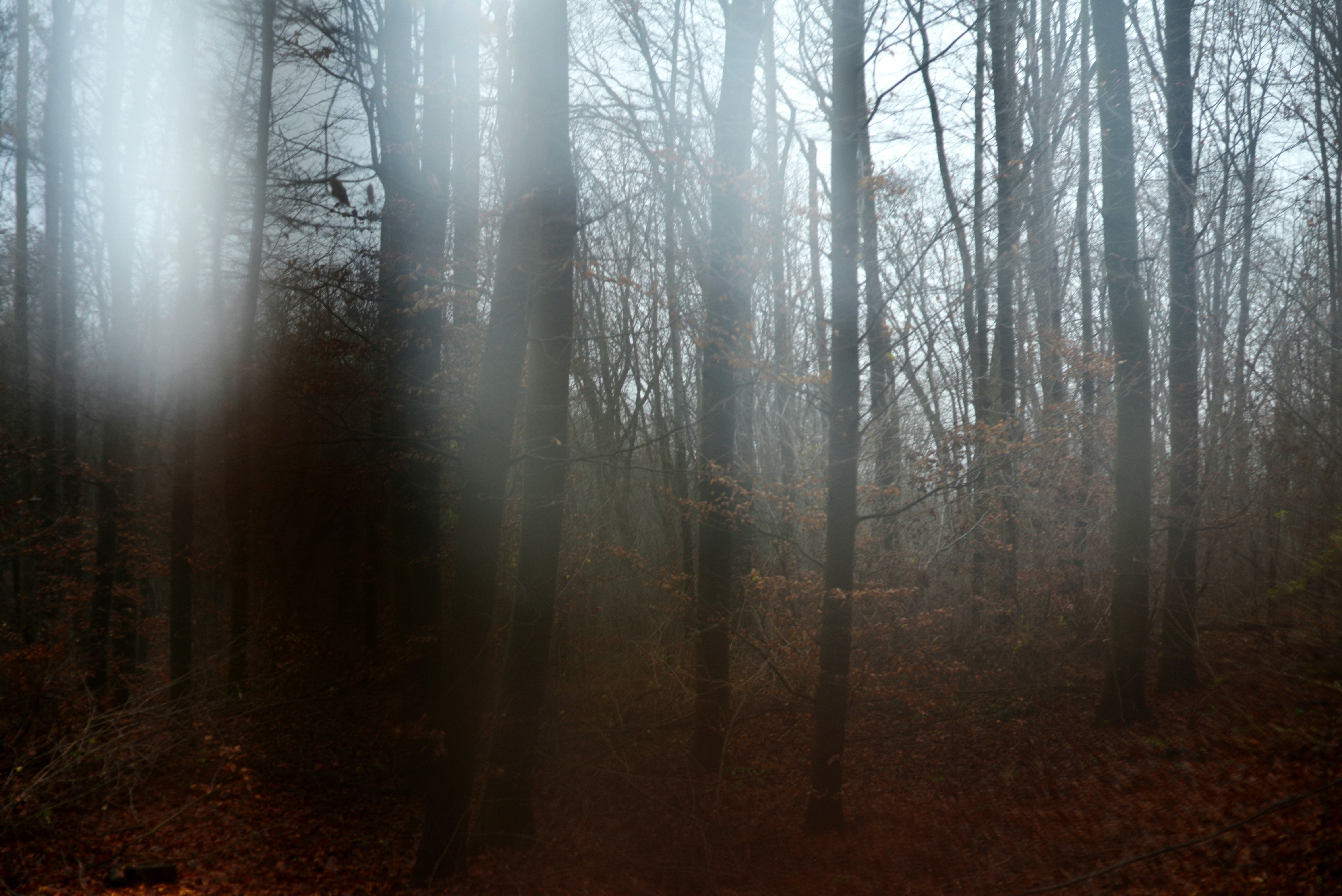 Photo by cherstve_pechivo