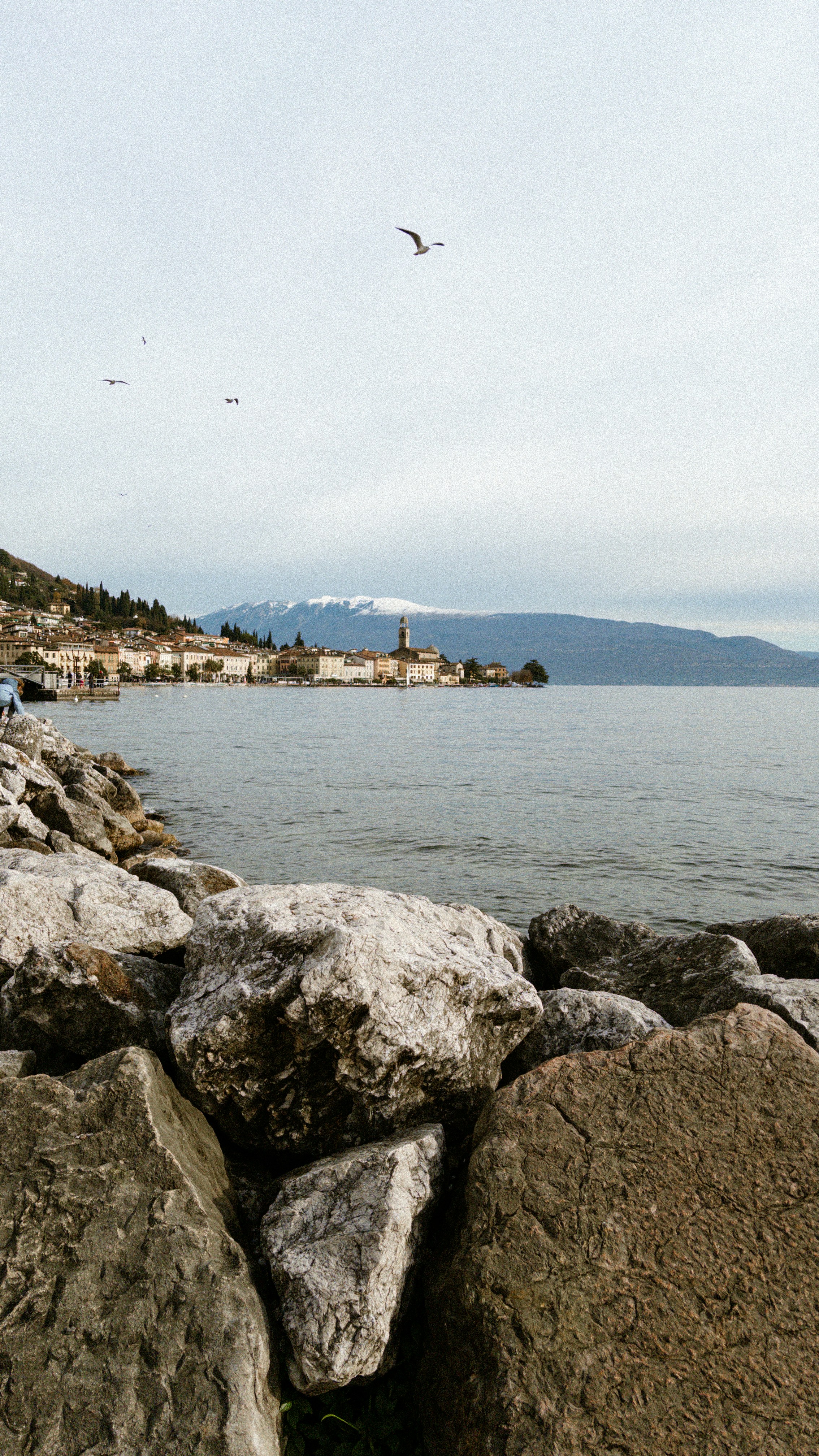 Photo by lucaborraccesi