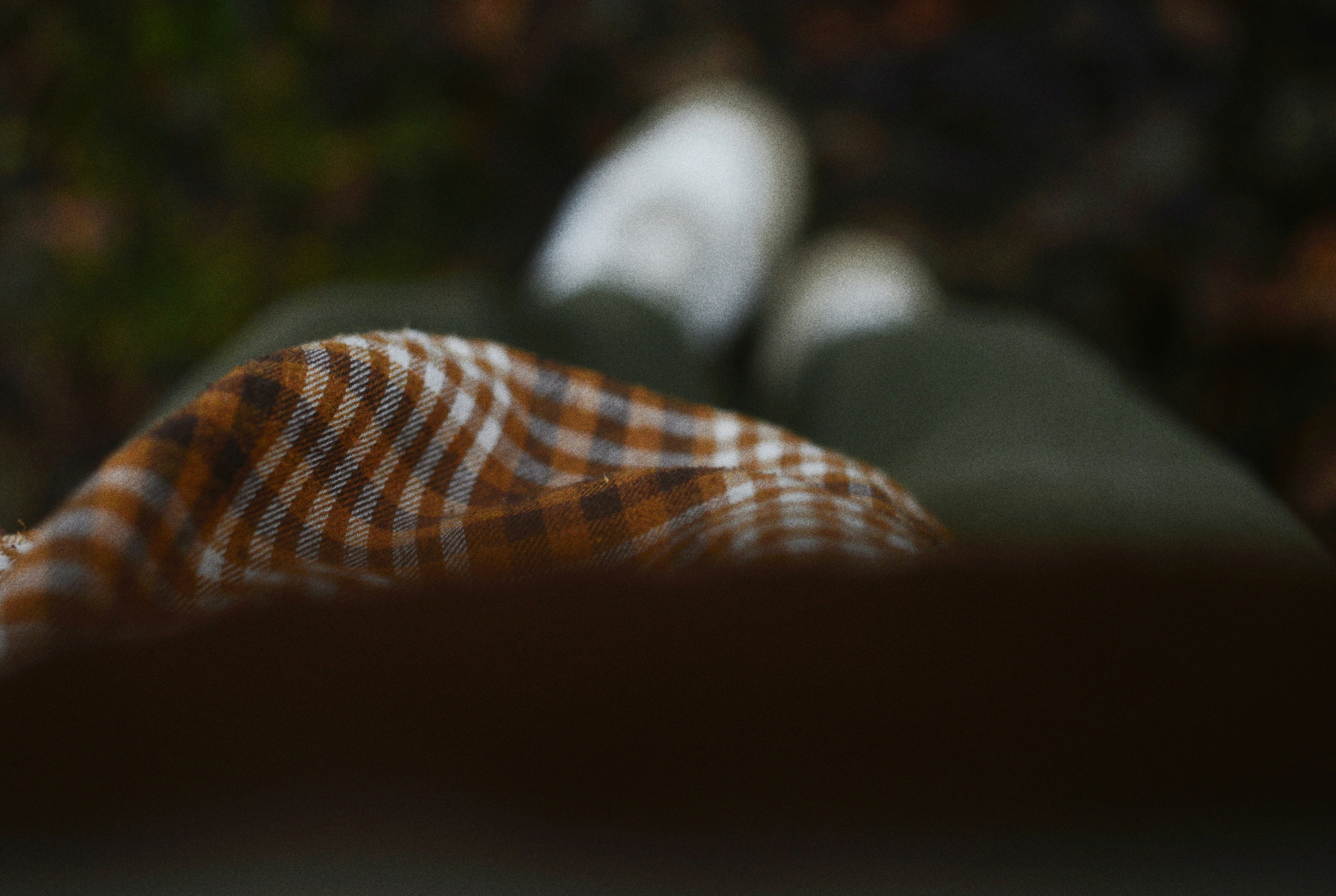 Photo by cherstve_pechivo