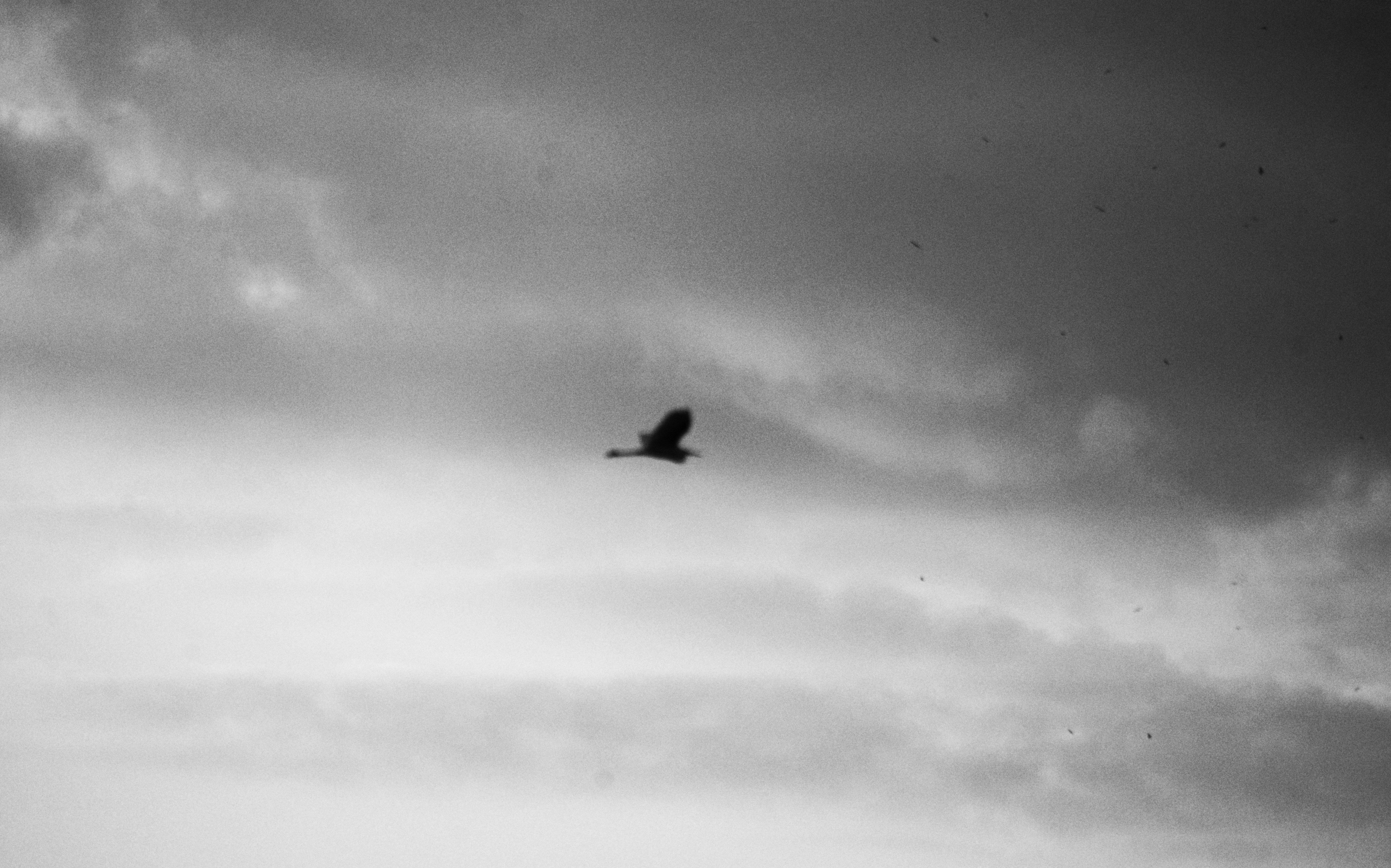 Photo by cherstve_pechivo