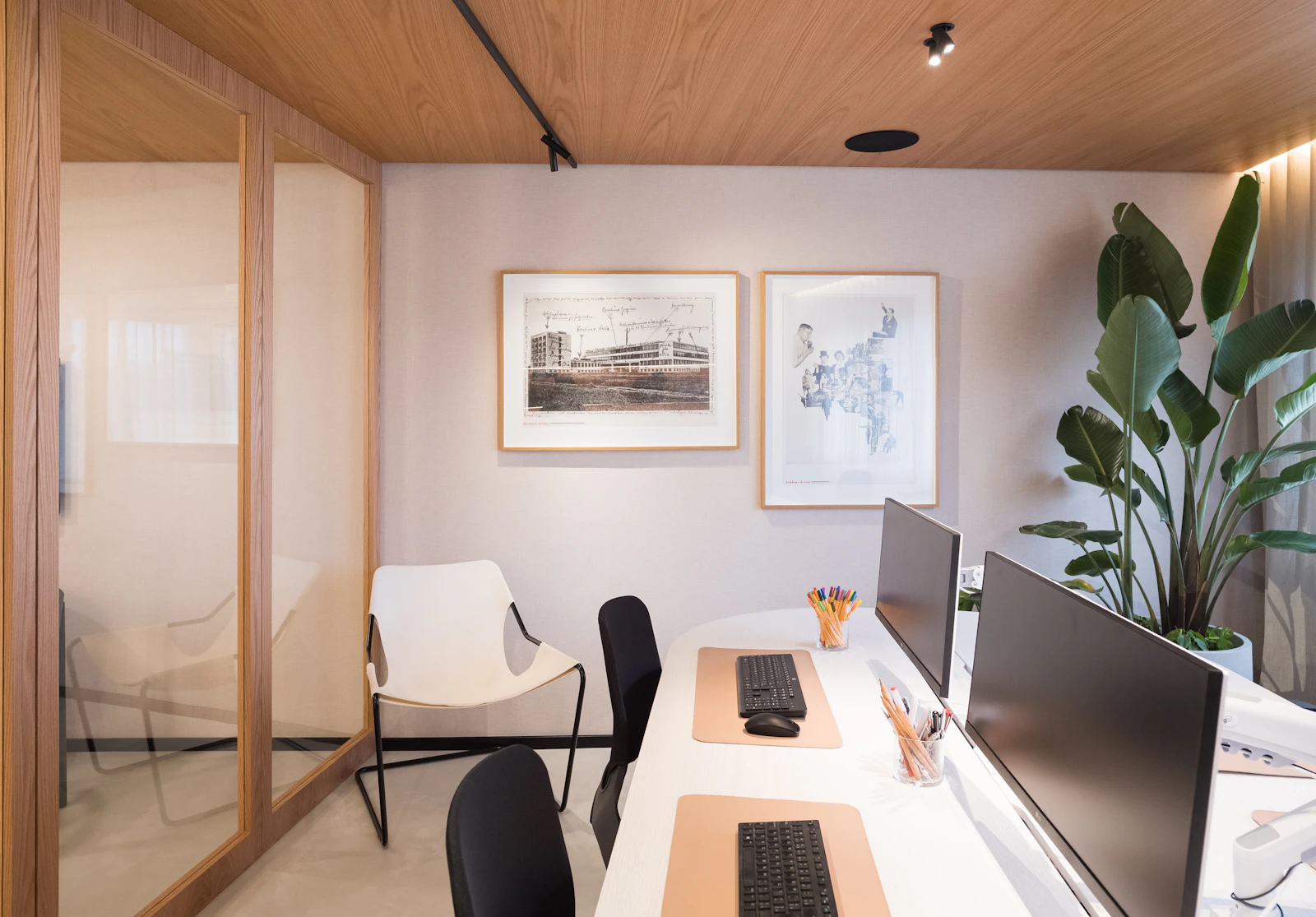 Best Wallpaper Options for Offices and Commercial Spaces