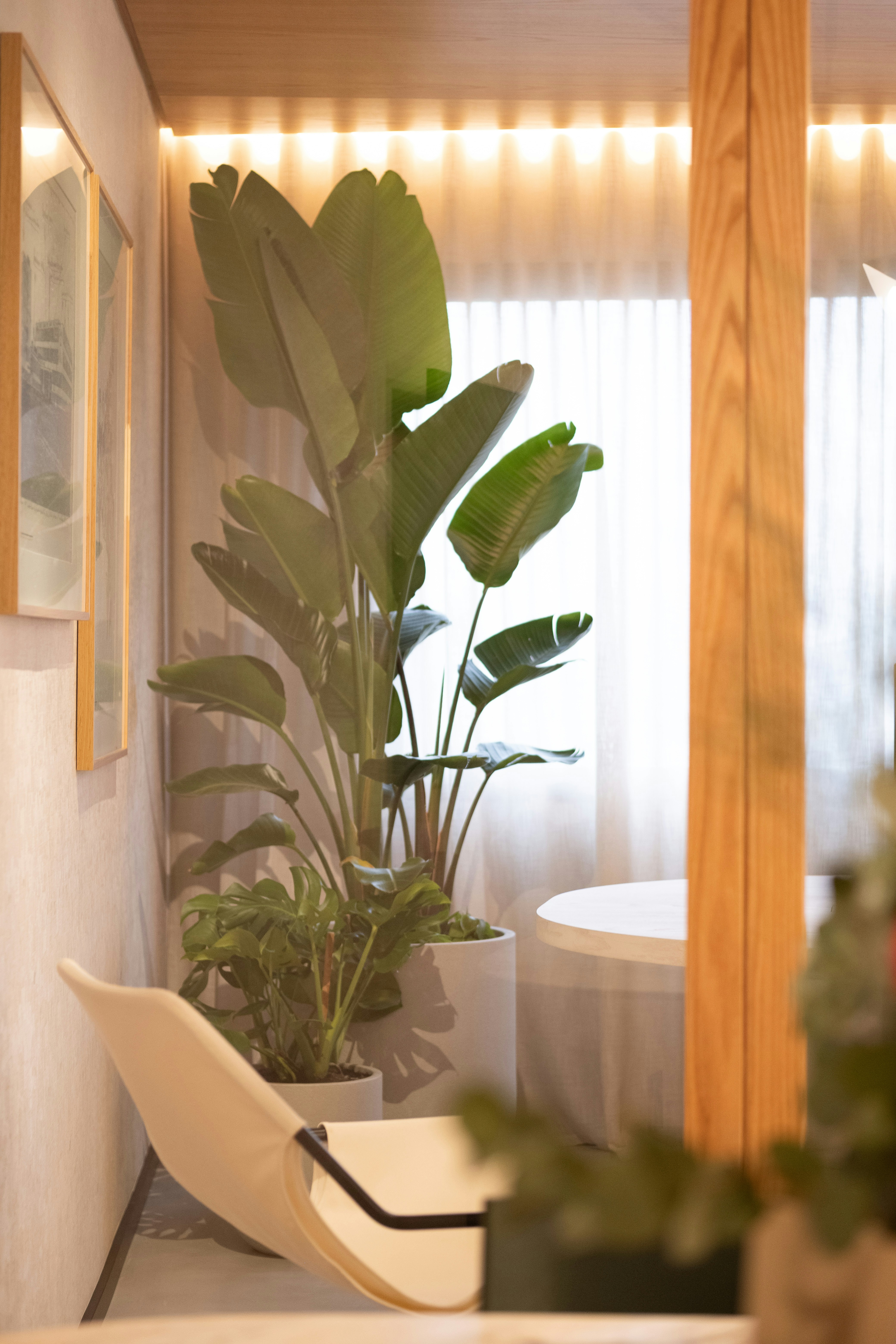 Indoor Plant & Office Horticulture