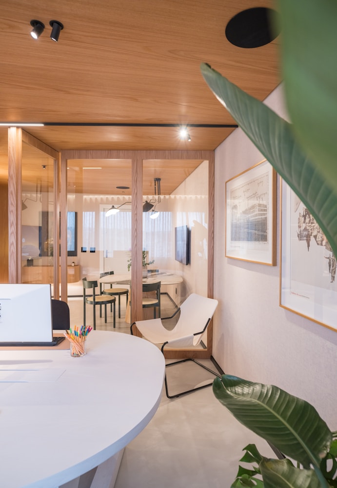 Modern office interior with glass walls and plants — the studio environment