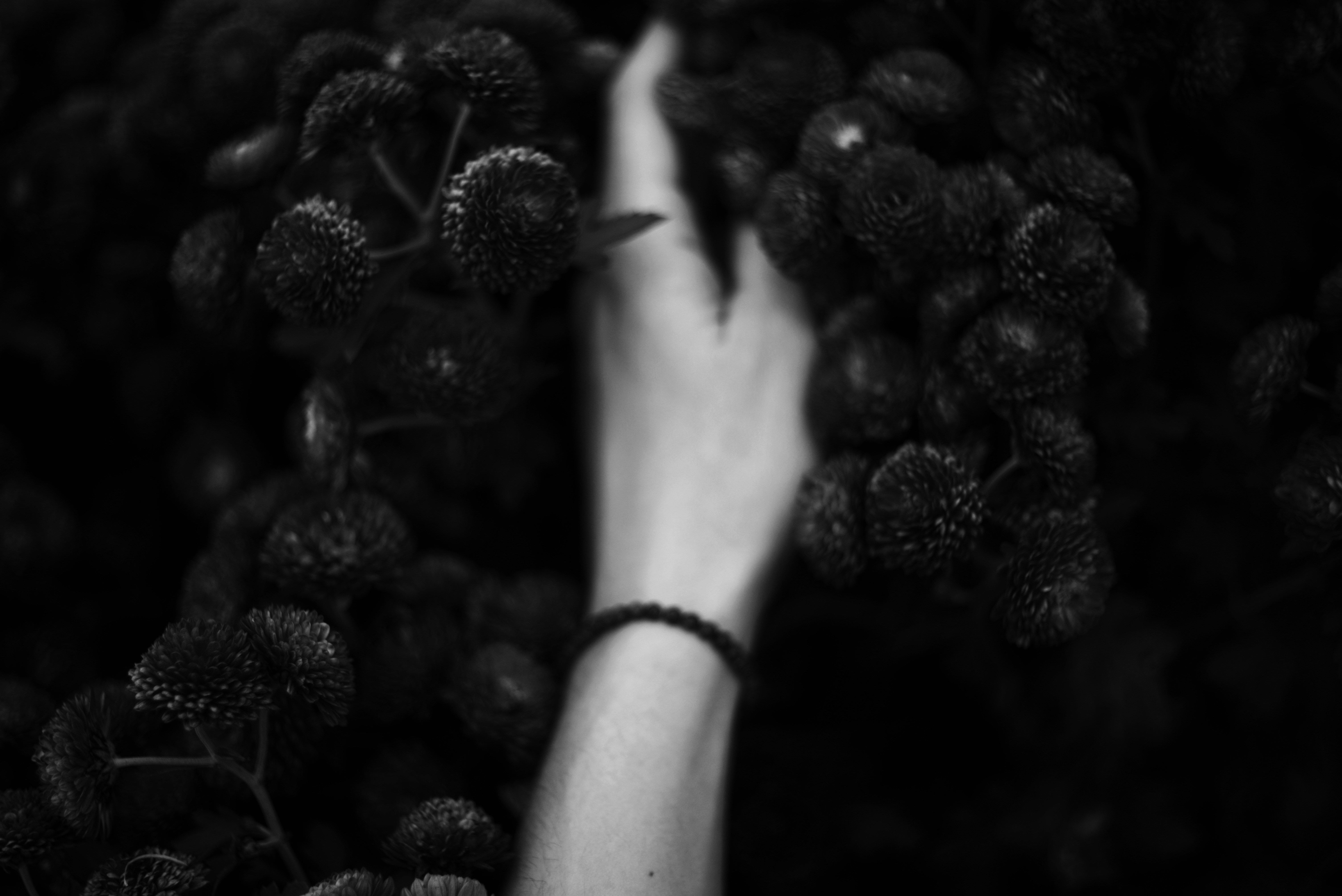 Enhancing Domain Listings: Drawing Organic Traffic Through Social Media