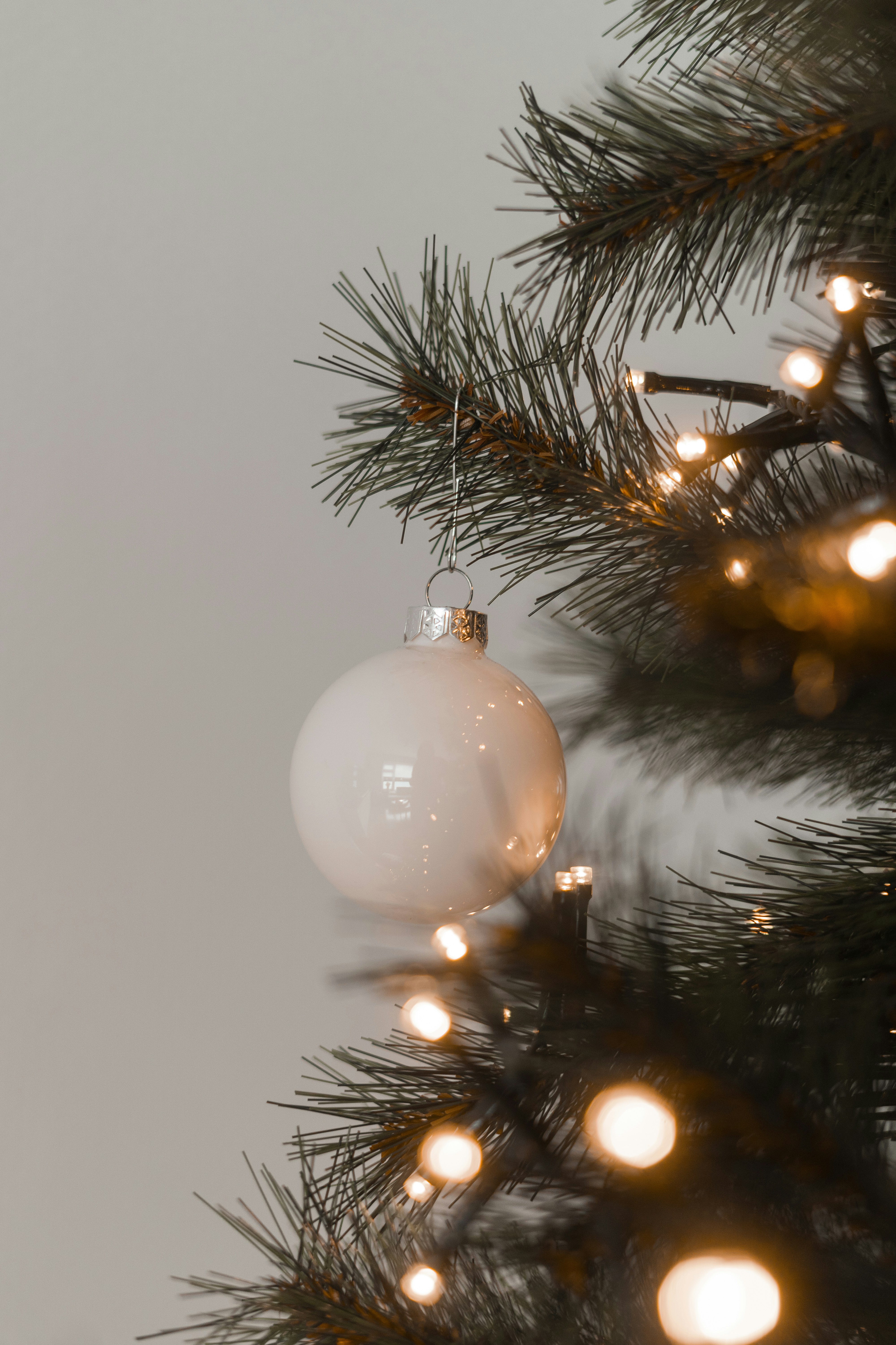 Photo by visualsbying