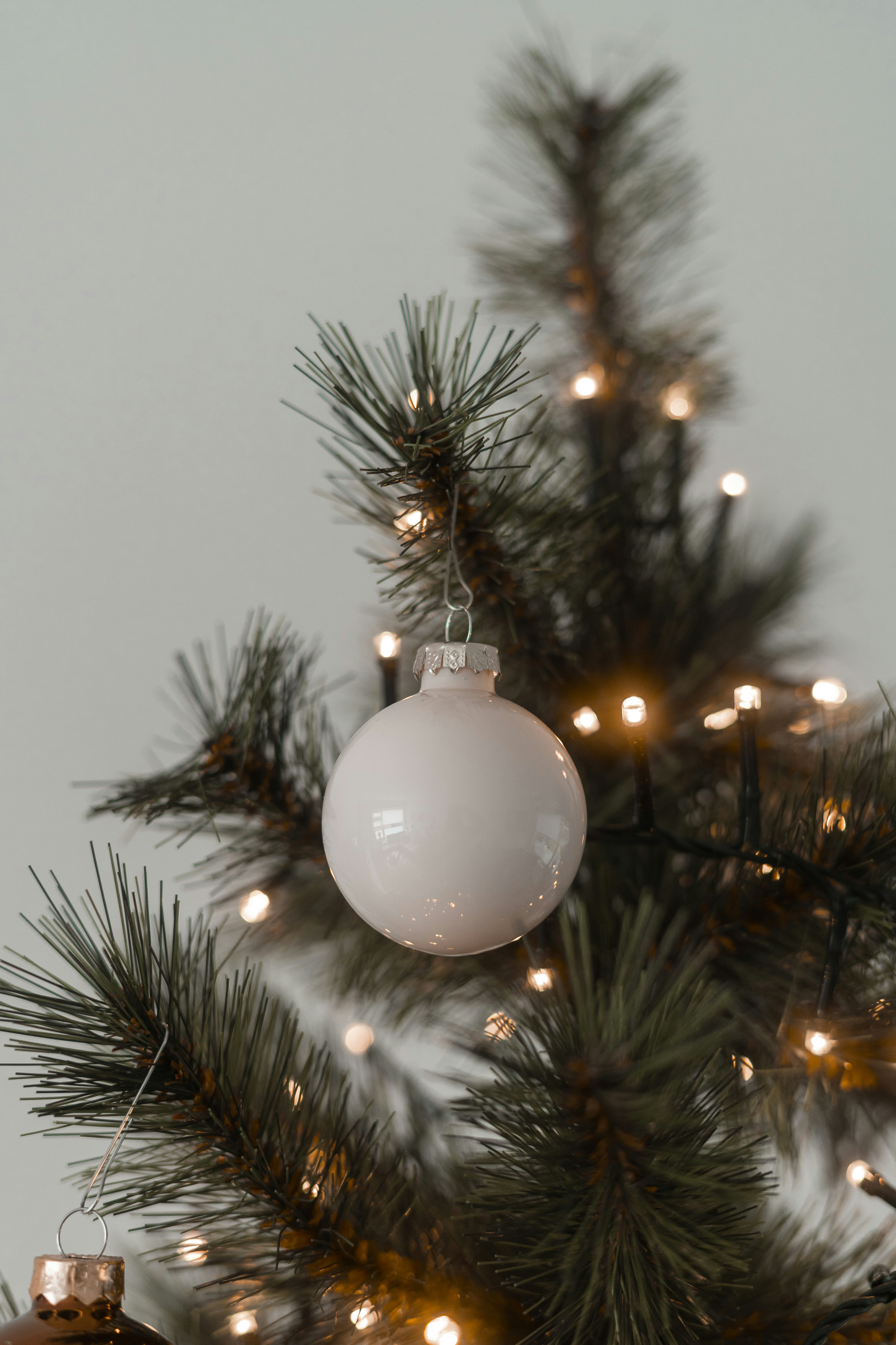 Photo by visualsbying