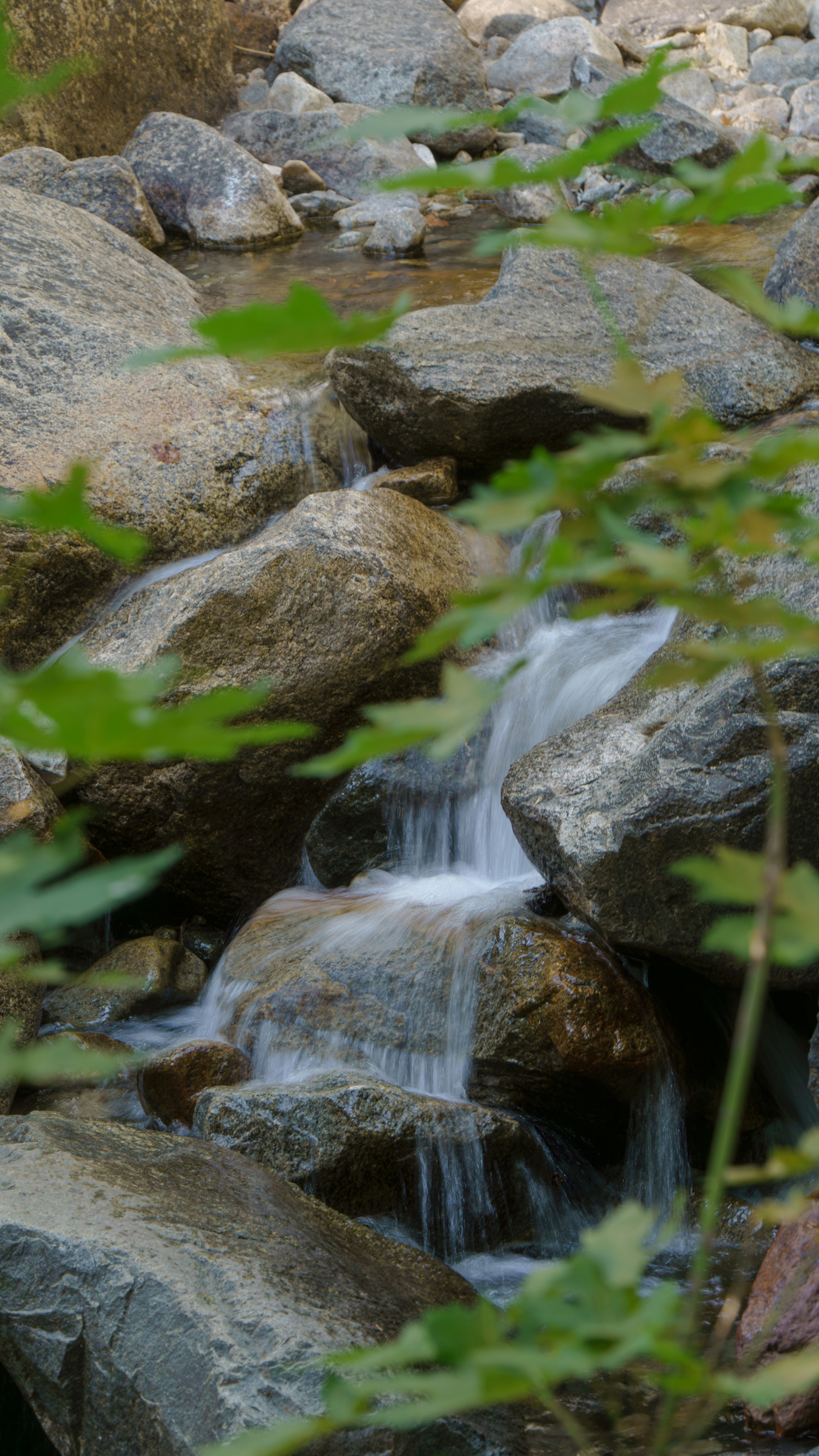 Photo by ghostdogg187