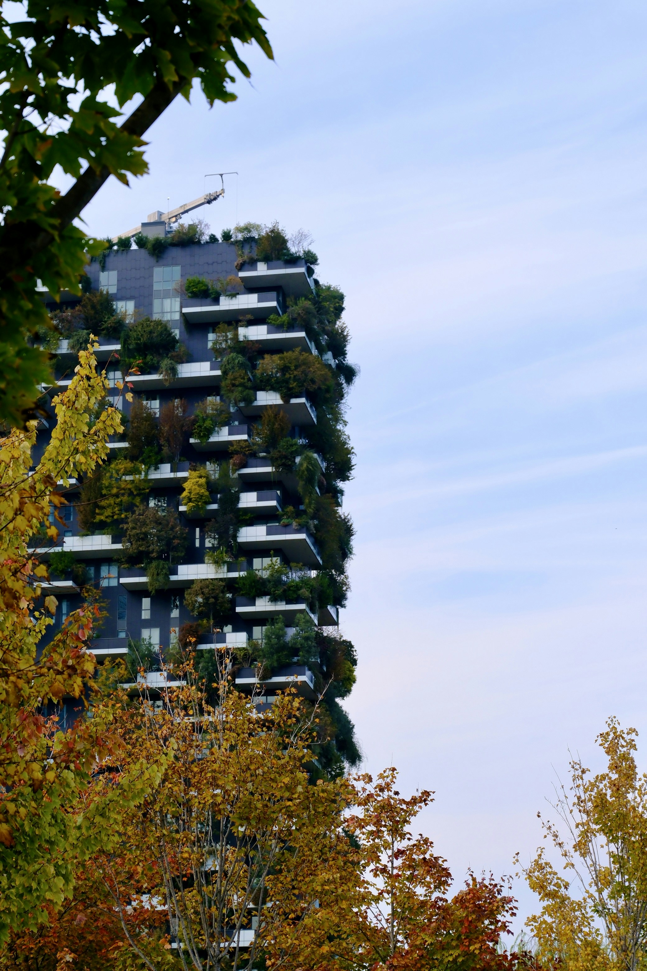 Photo by annalisa_bellini