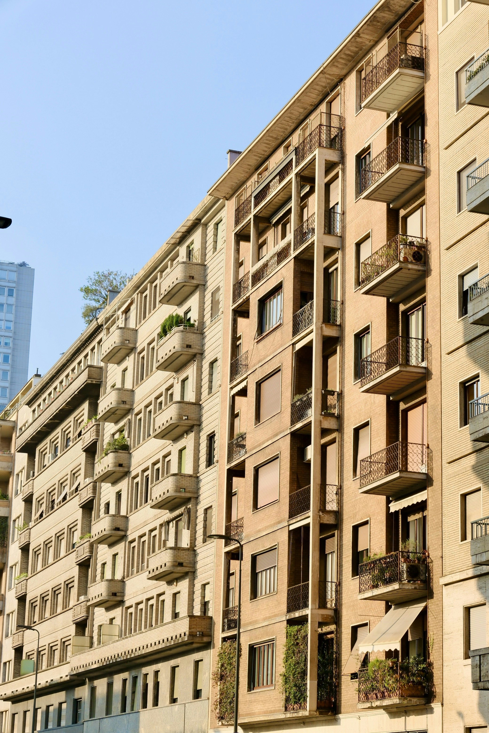 Photo by annalisa_bellini