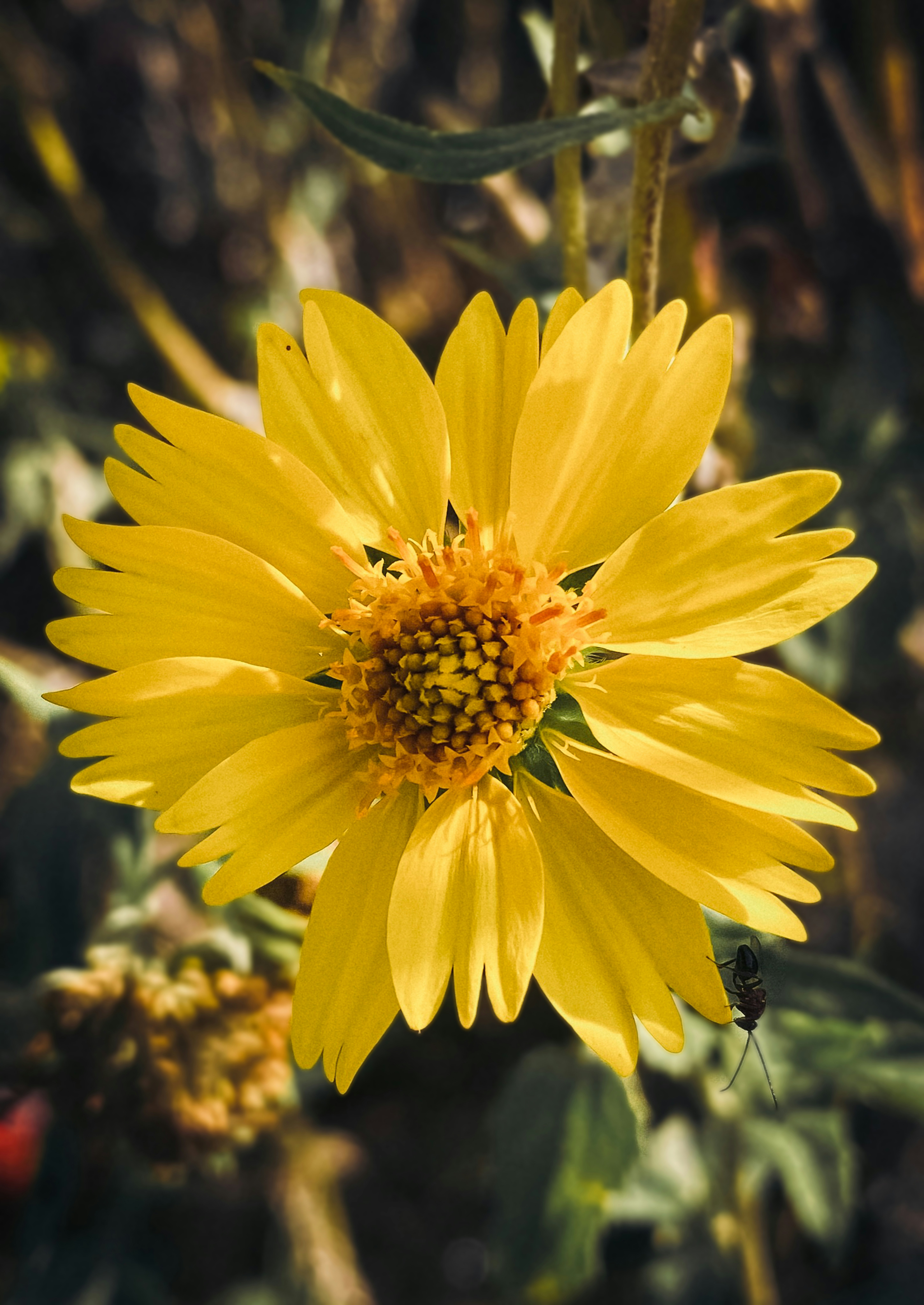 Photo by creative_af