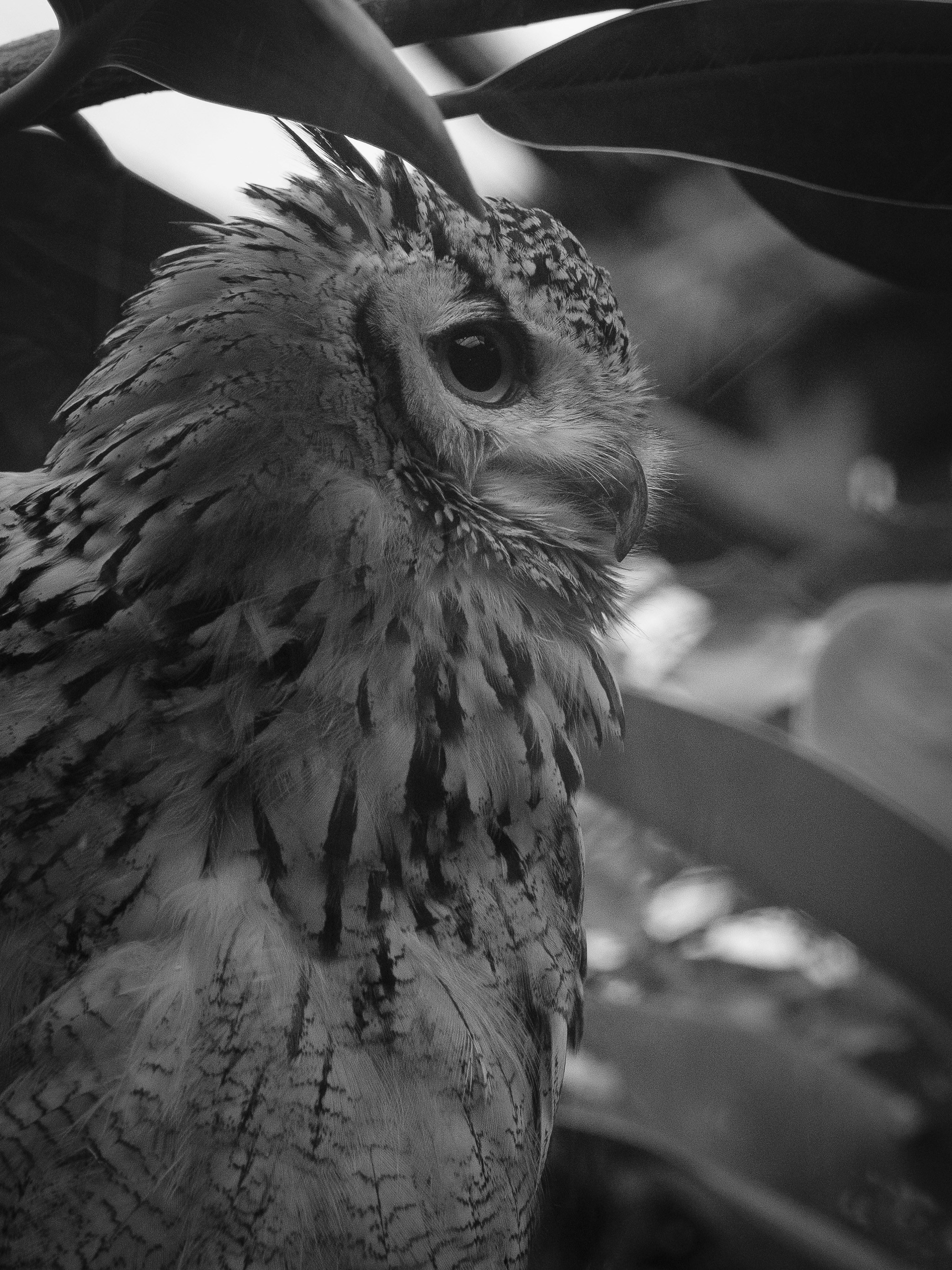 Photo by haberdoedas