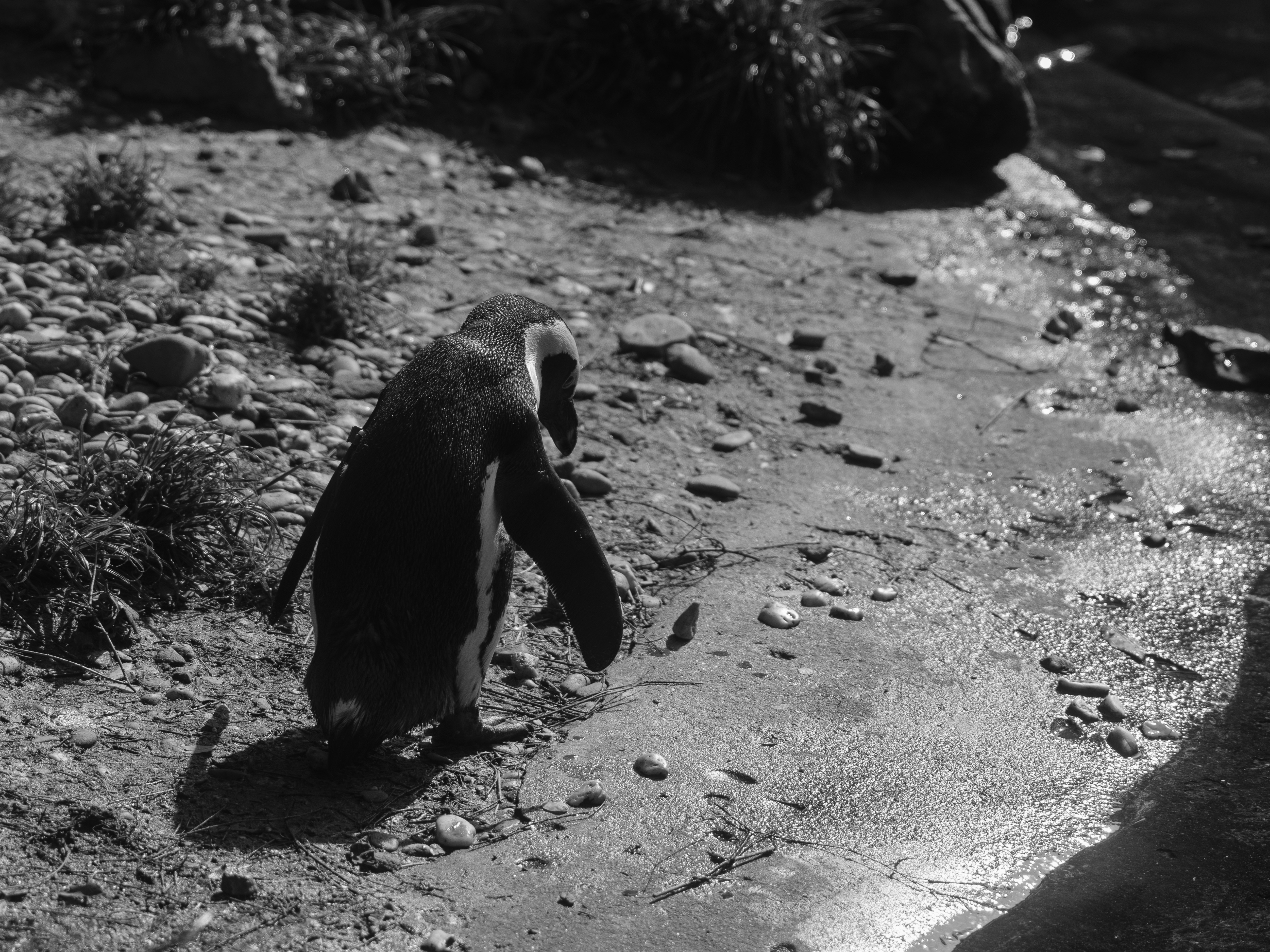 Photo by haberdoedas