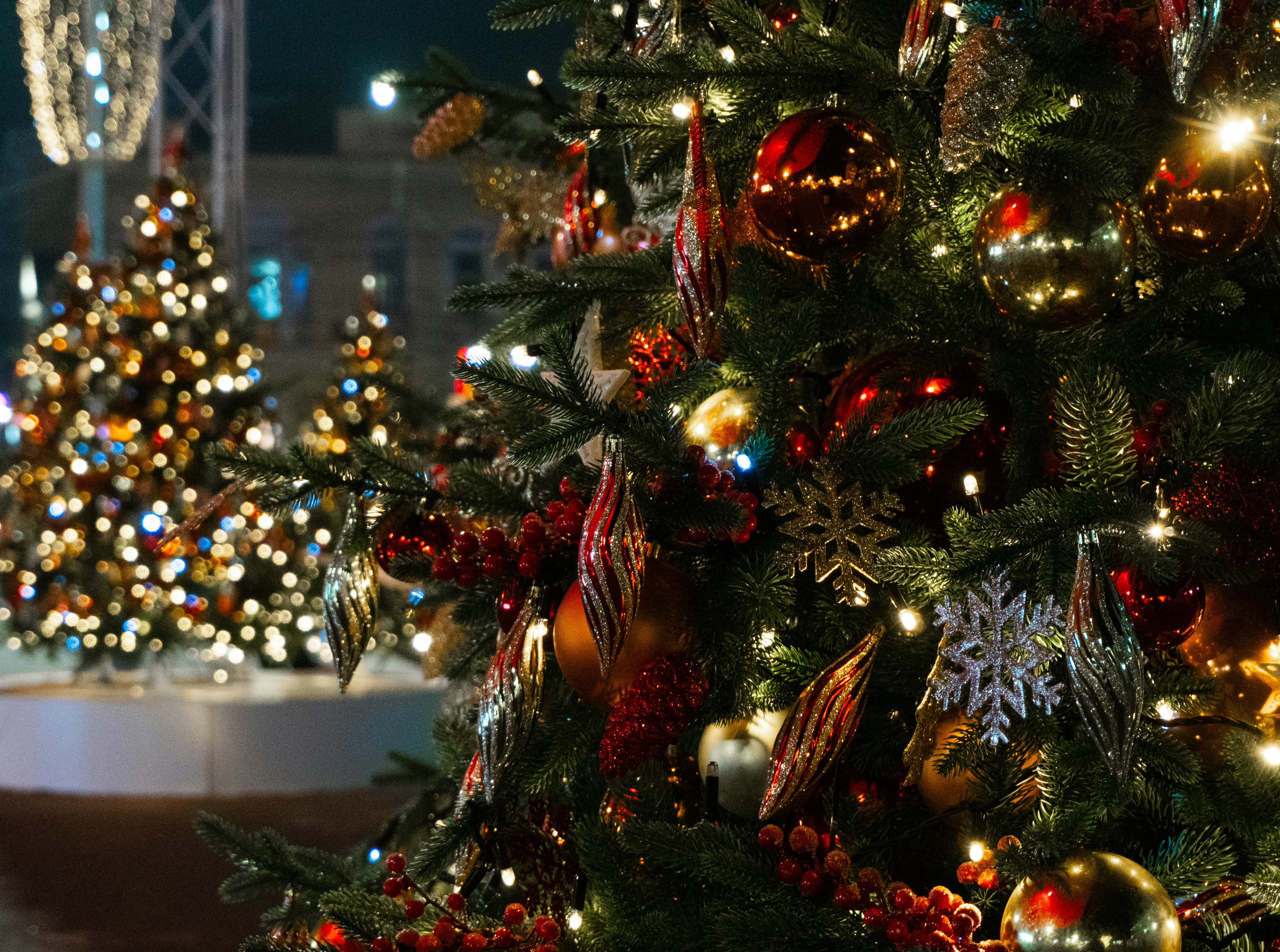 Photo by kulikovnik2