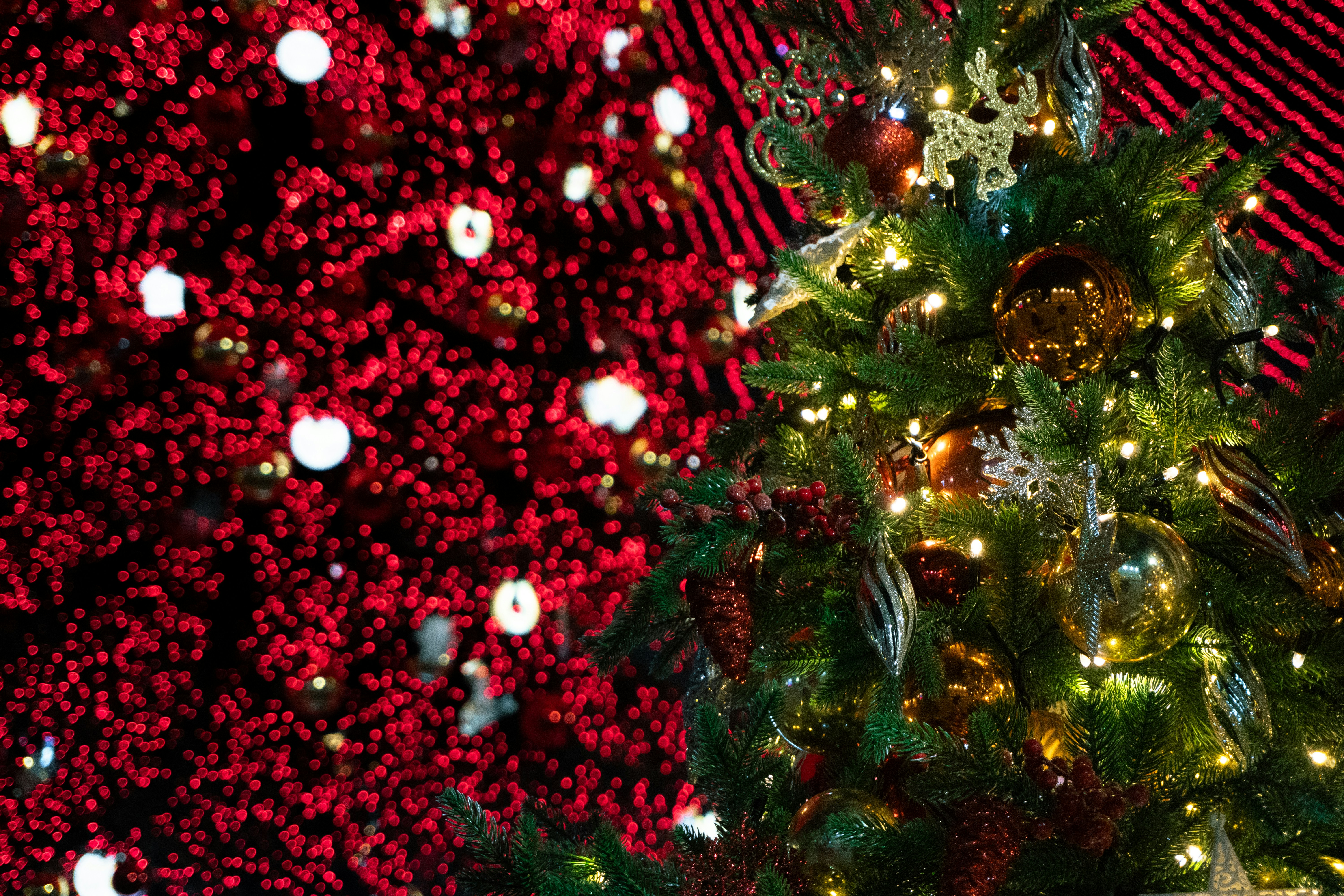 Photo by kulikovnik2