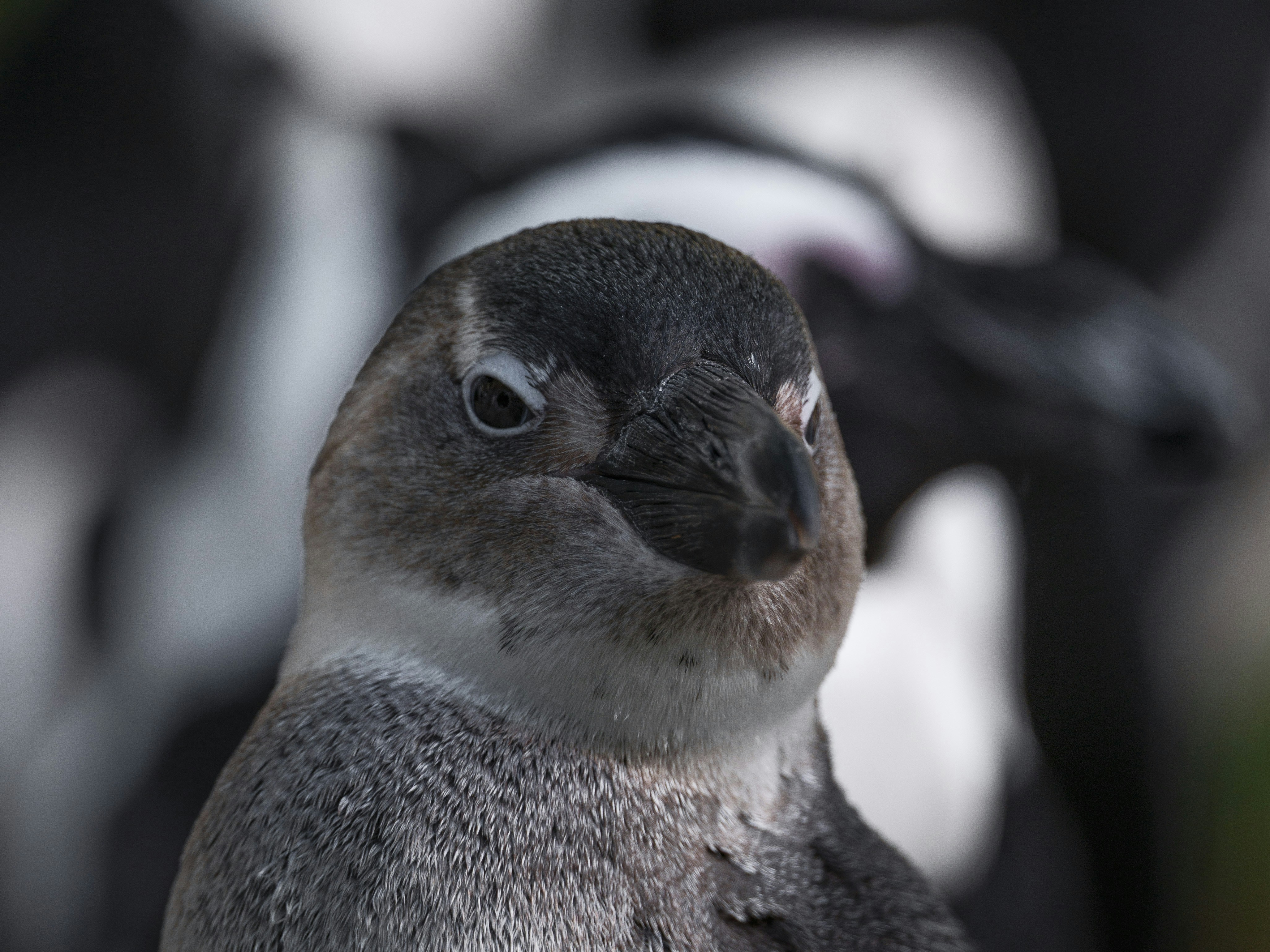 Photo by haberdoedas