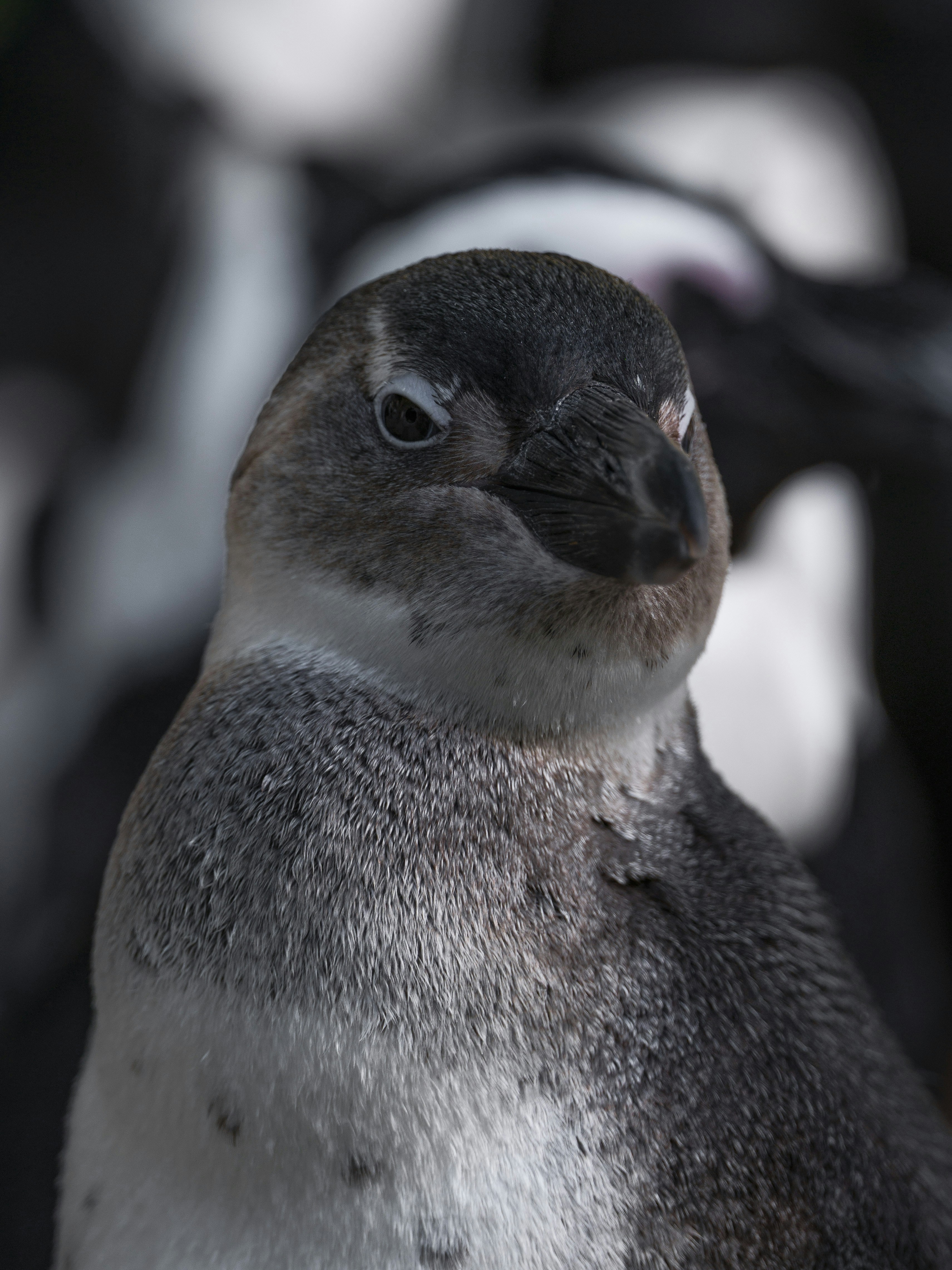 Photo by haberdoedas