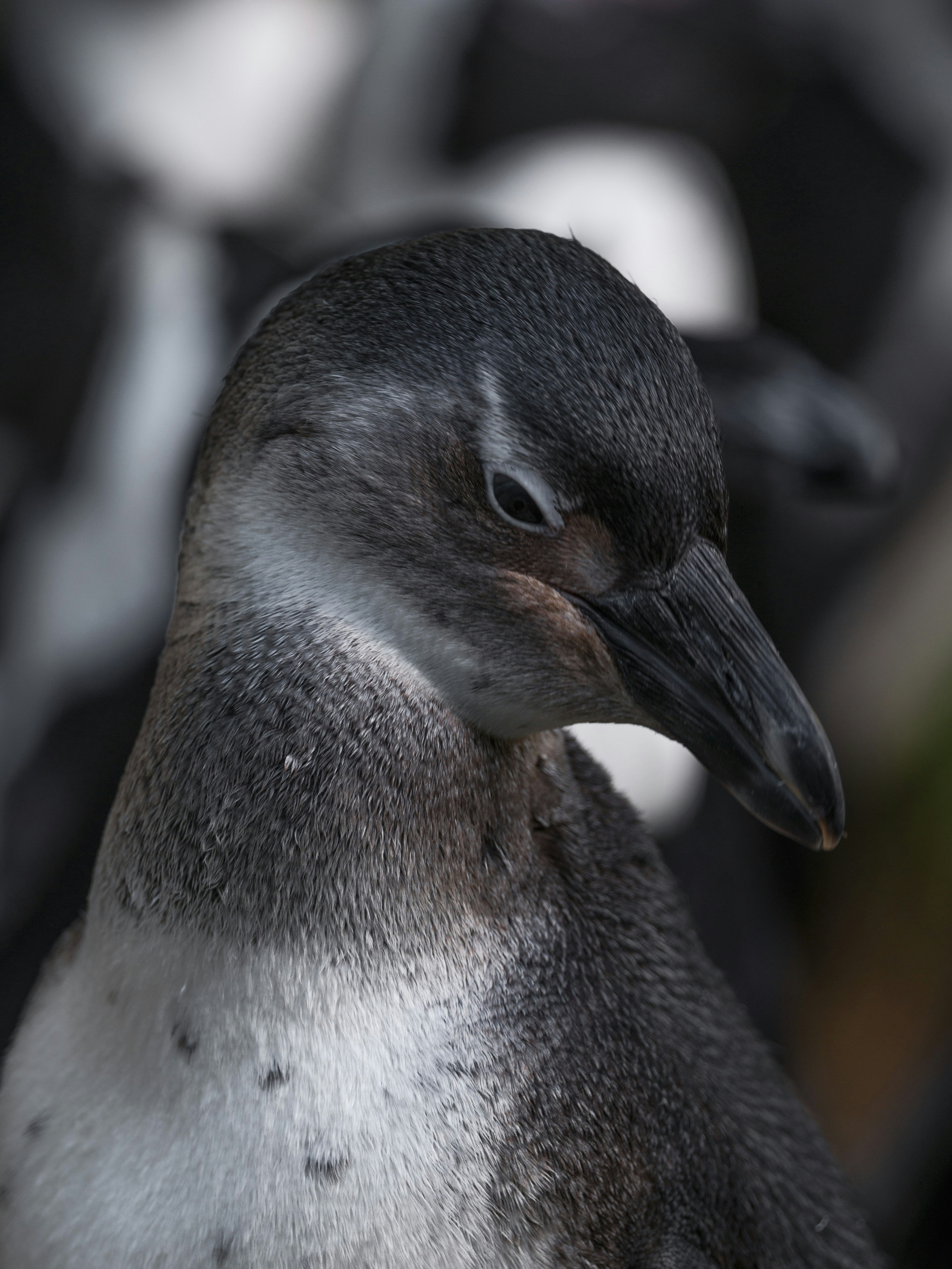 Photo by haberdoedas