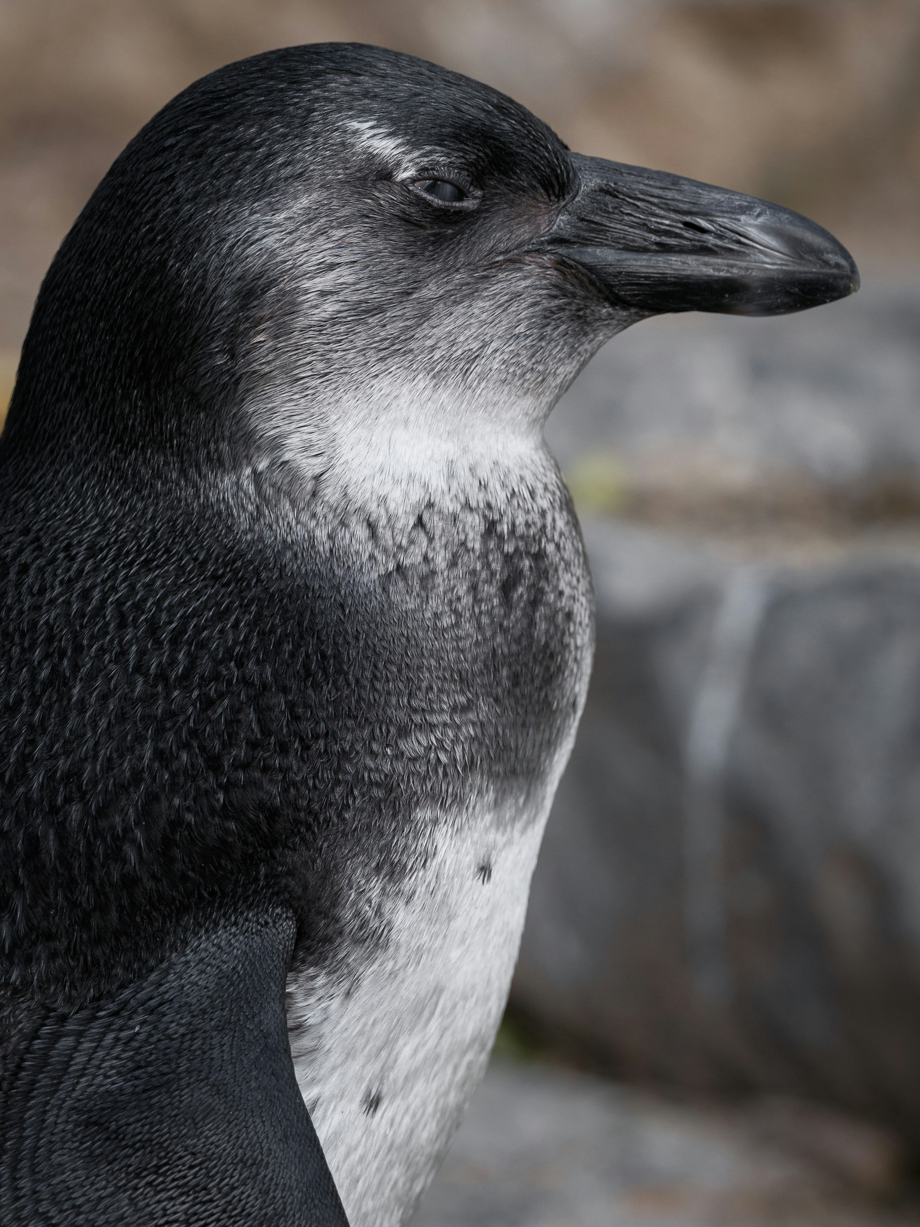 Photo by haberdoedas