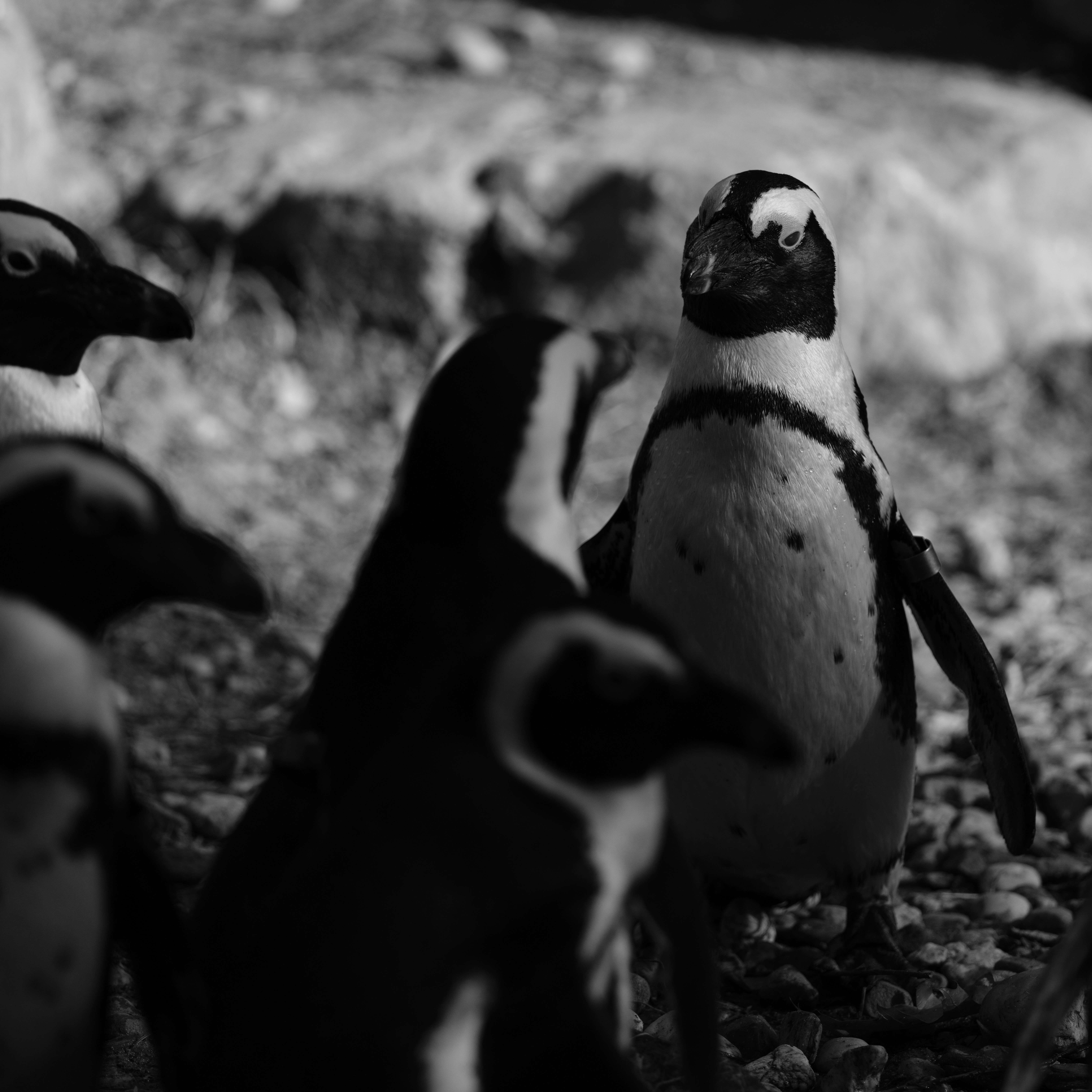 Photo by haberdoedas