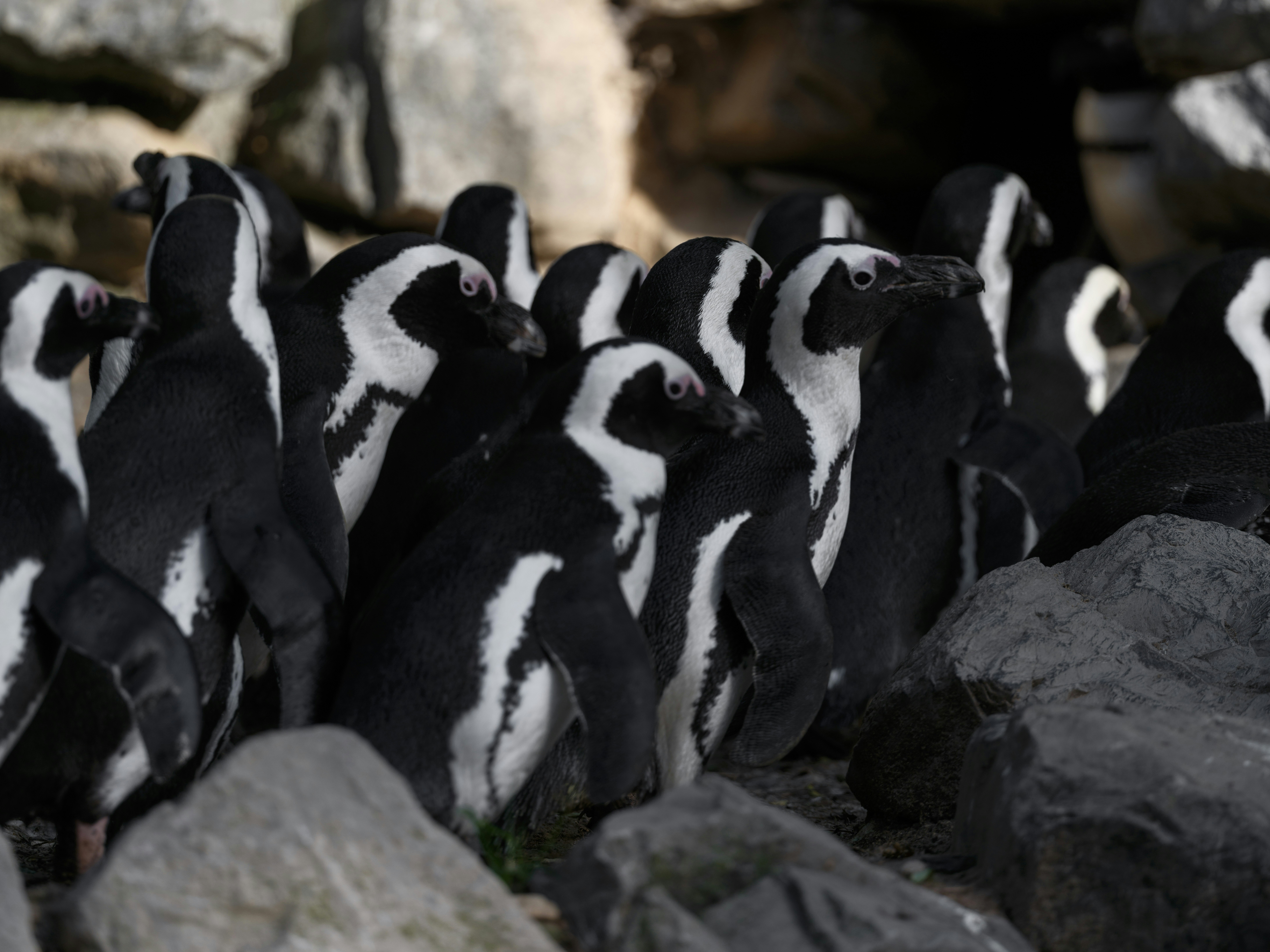 Photo by haberdoedas