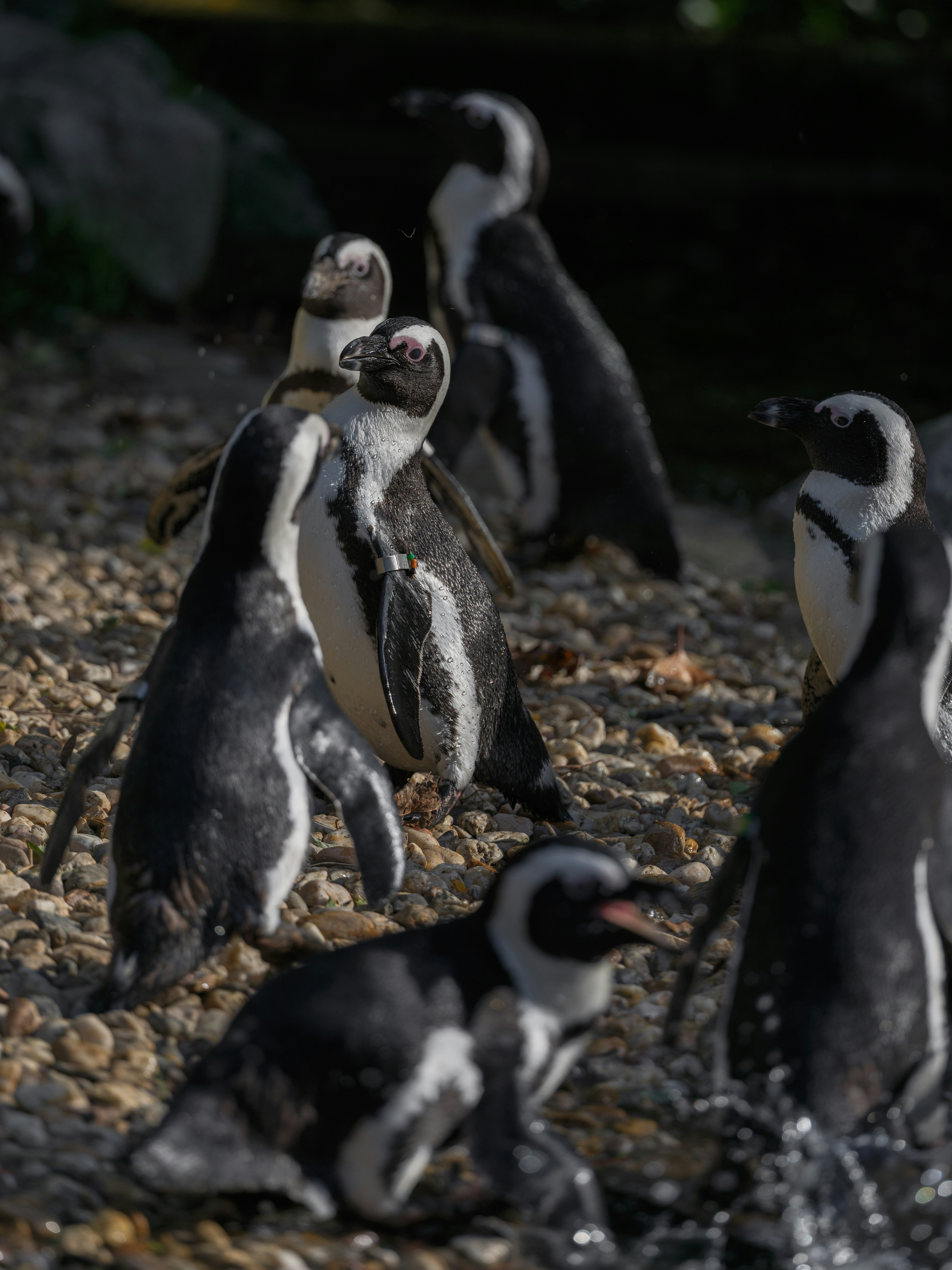 Photo by haberdoedas