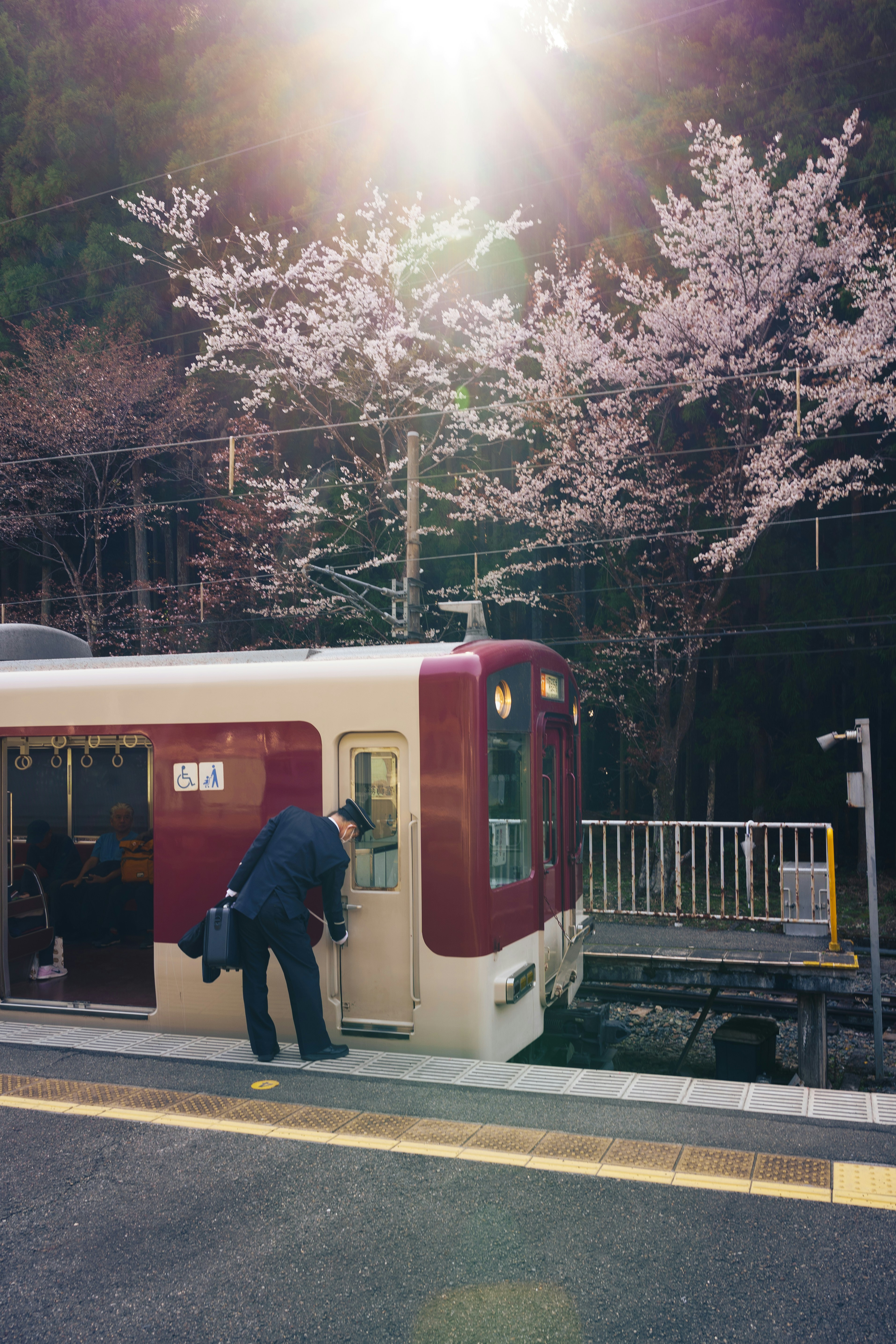 Train conductor checking train door near cherry blossoms