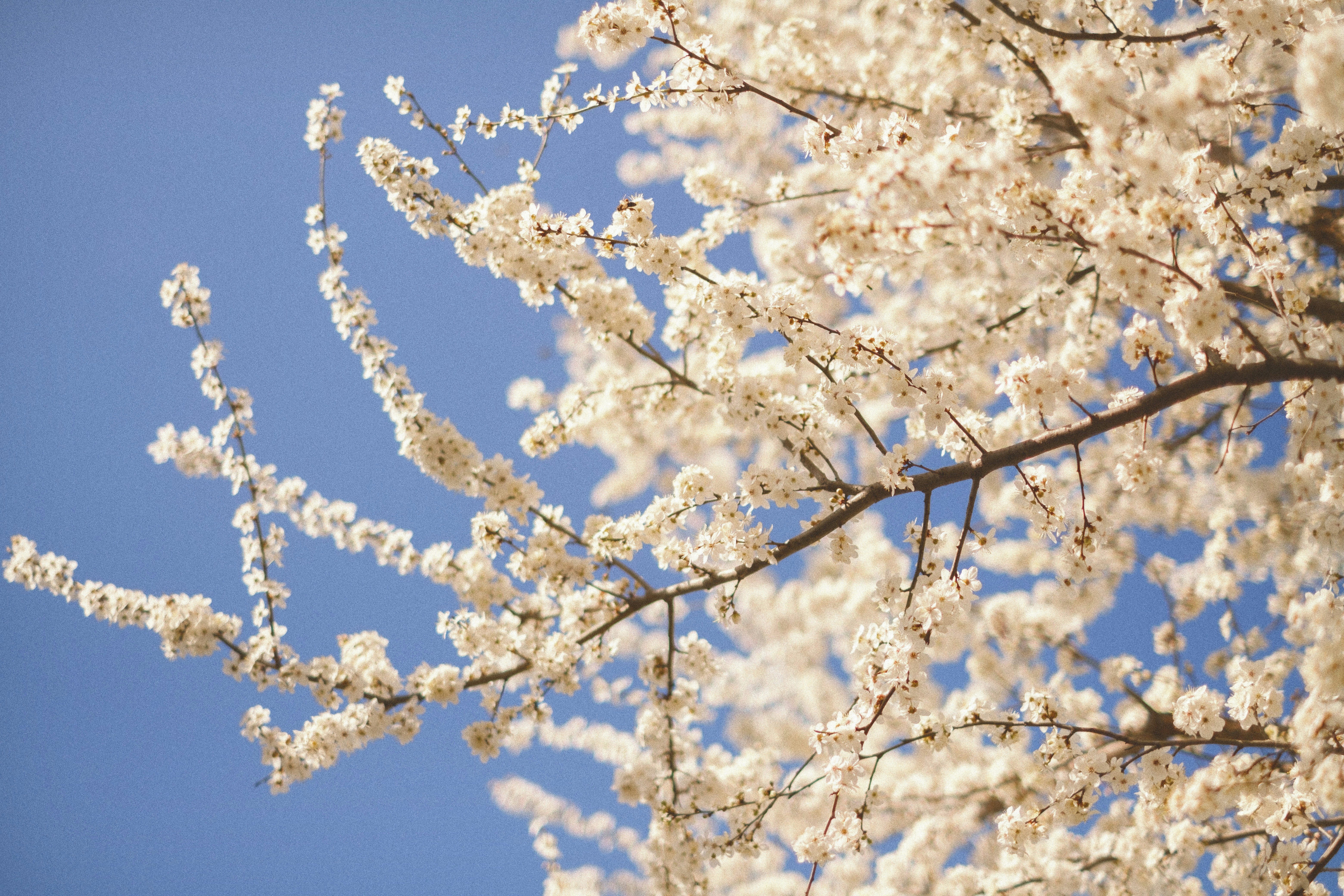 Photo by alinachernovol