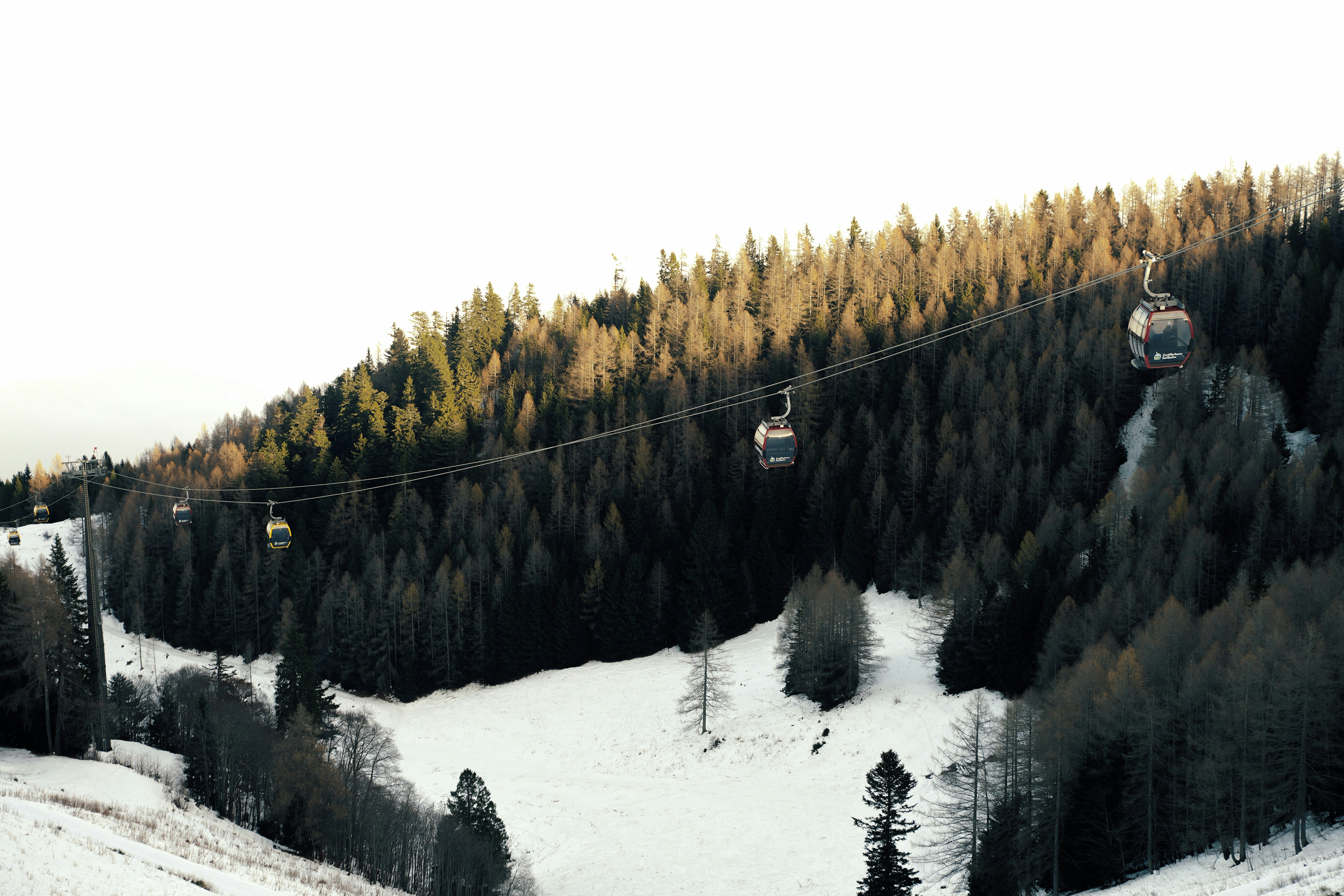 Ein veröffentlichtes Foto