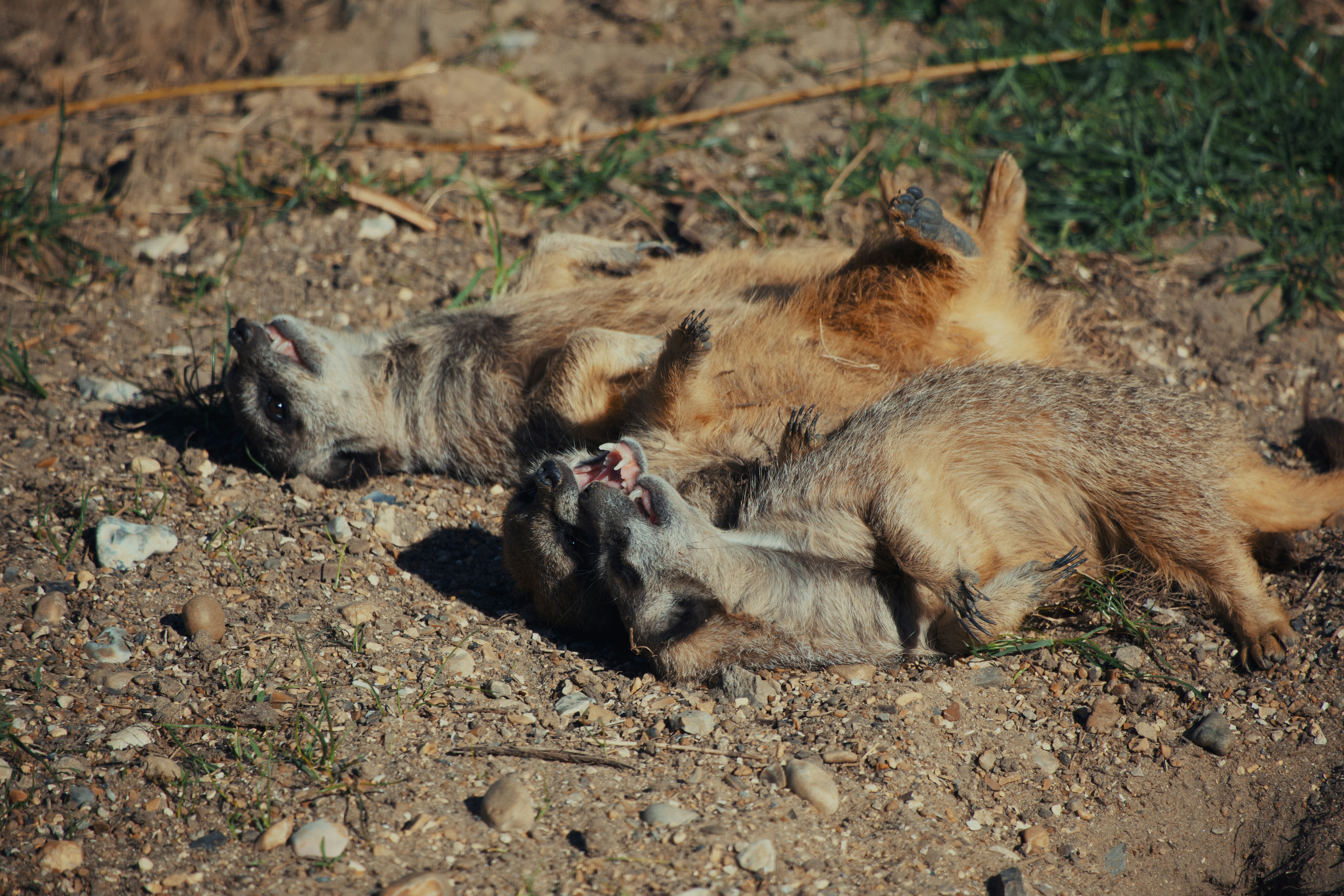 Photo by ashleygorringe