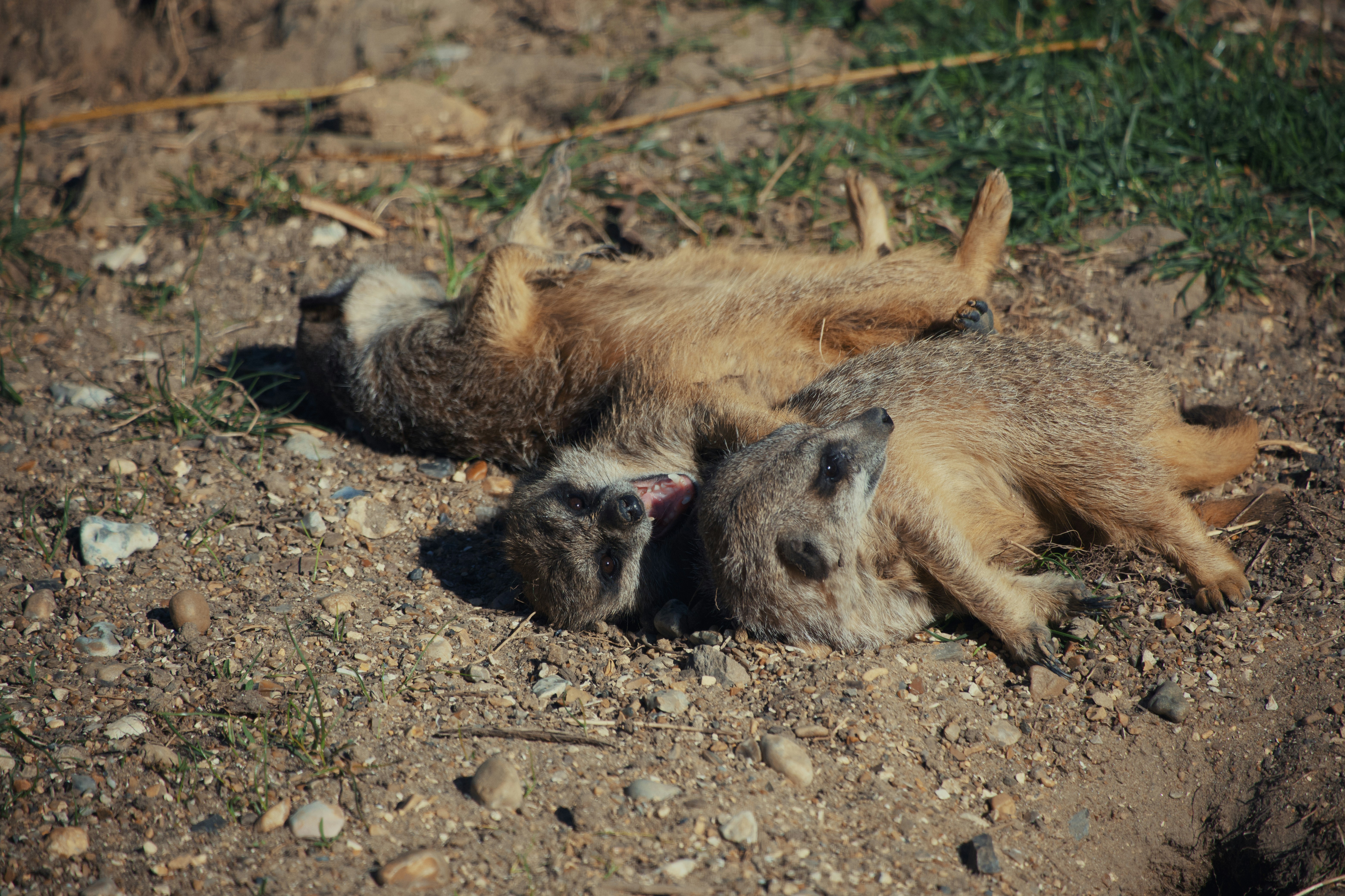 Photo by ashleygorringe