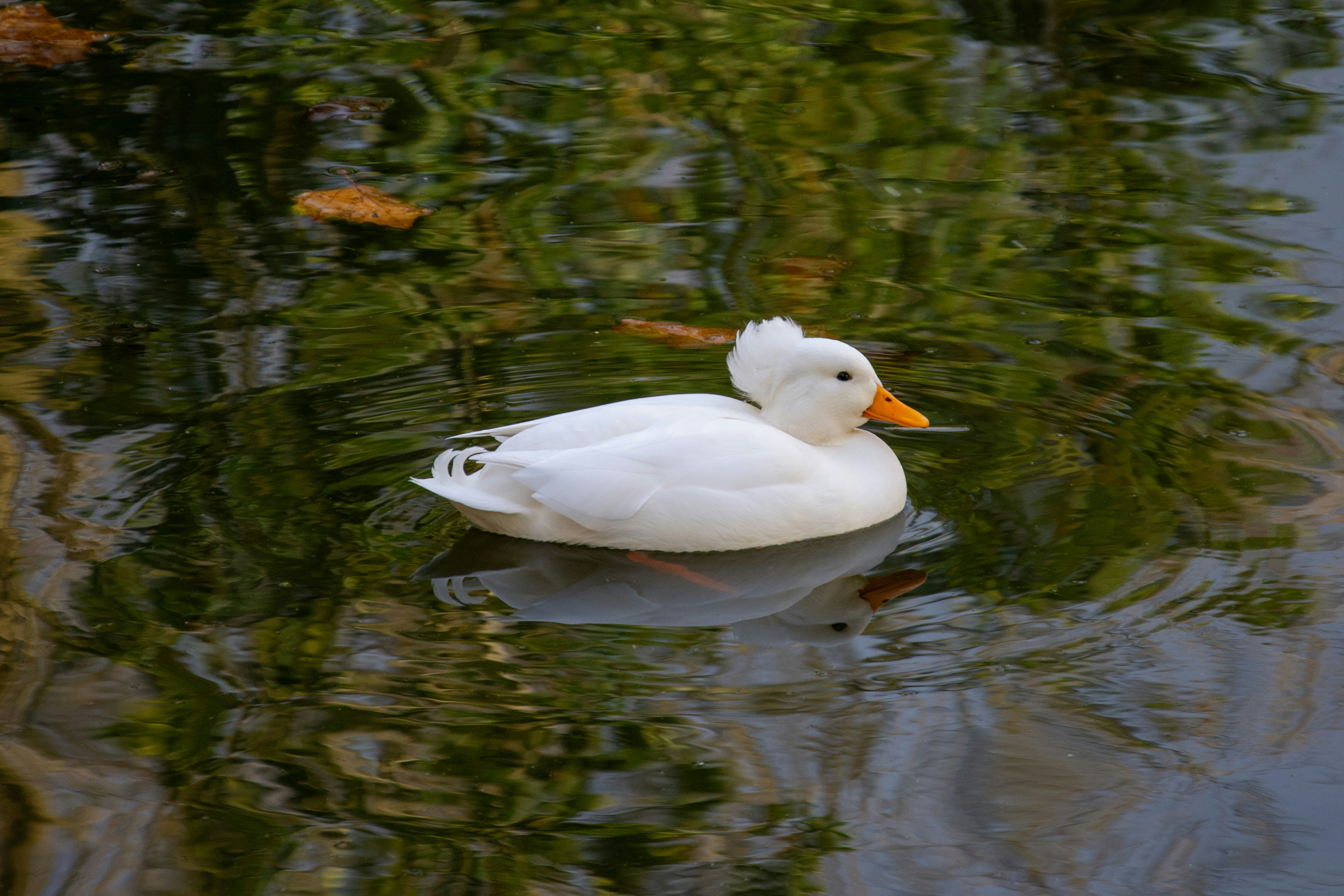 Photo by alexdavidphotos