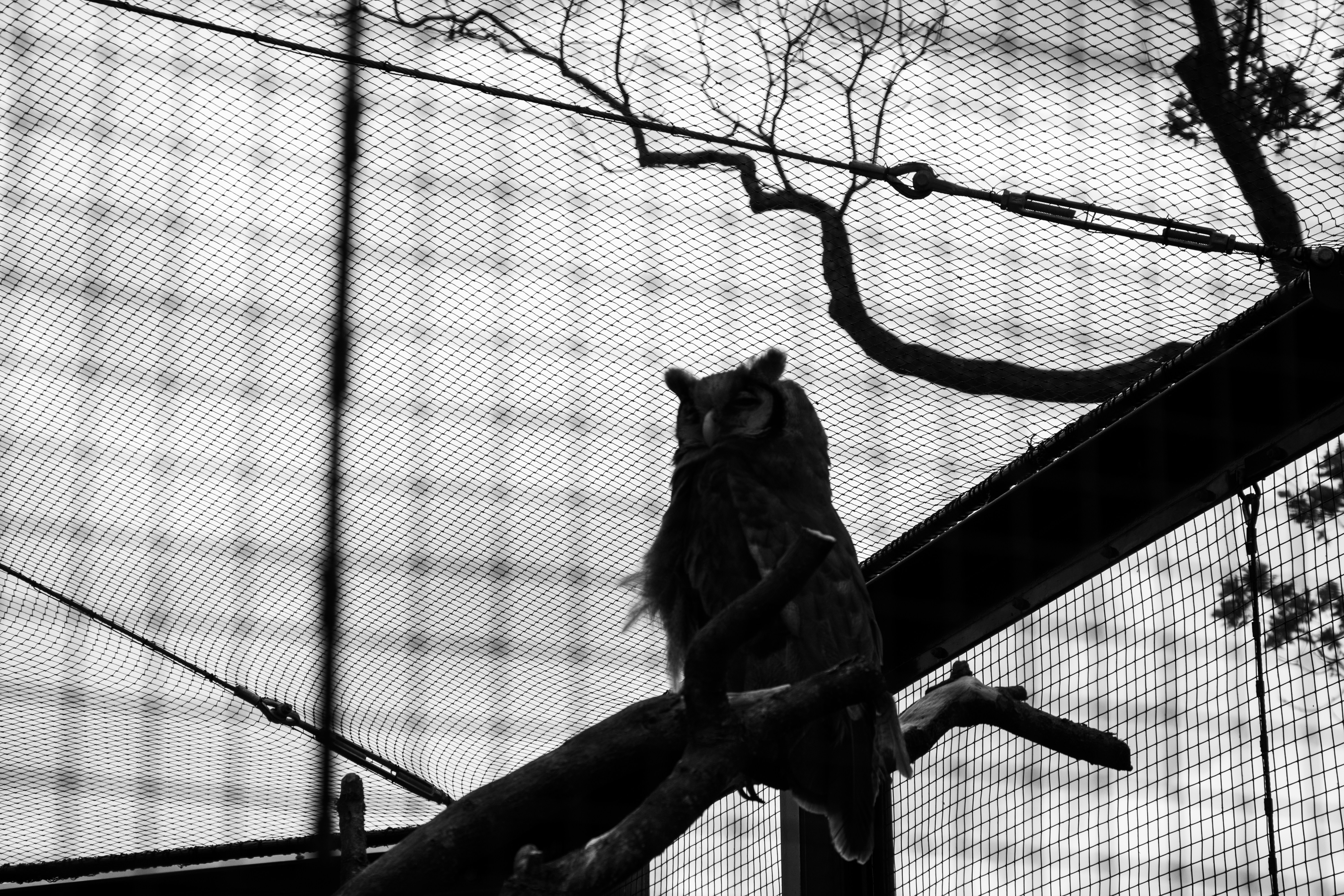 Photo by alexdavidphotos