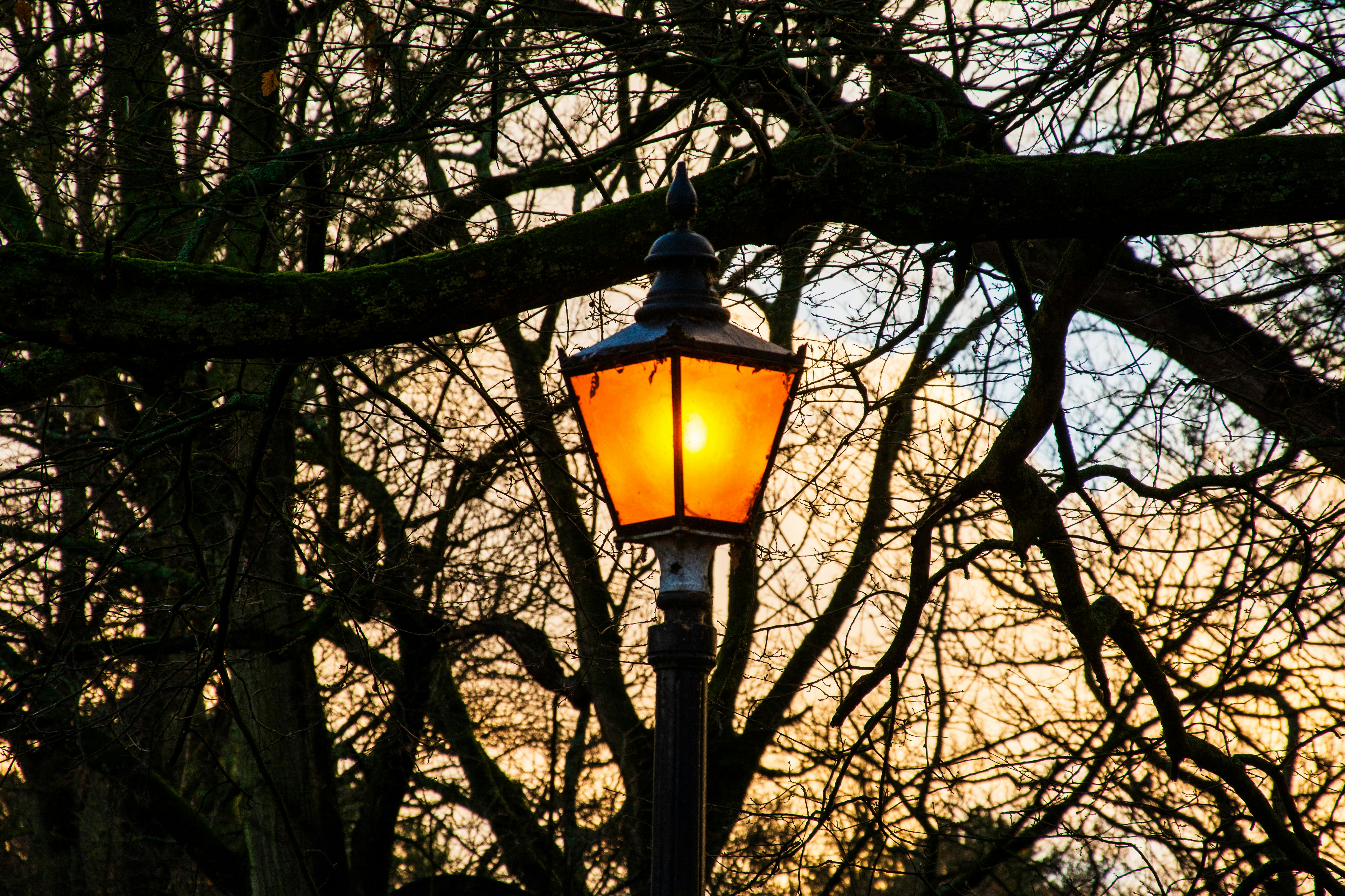 Photo by alexdavidphotos