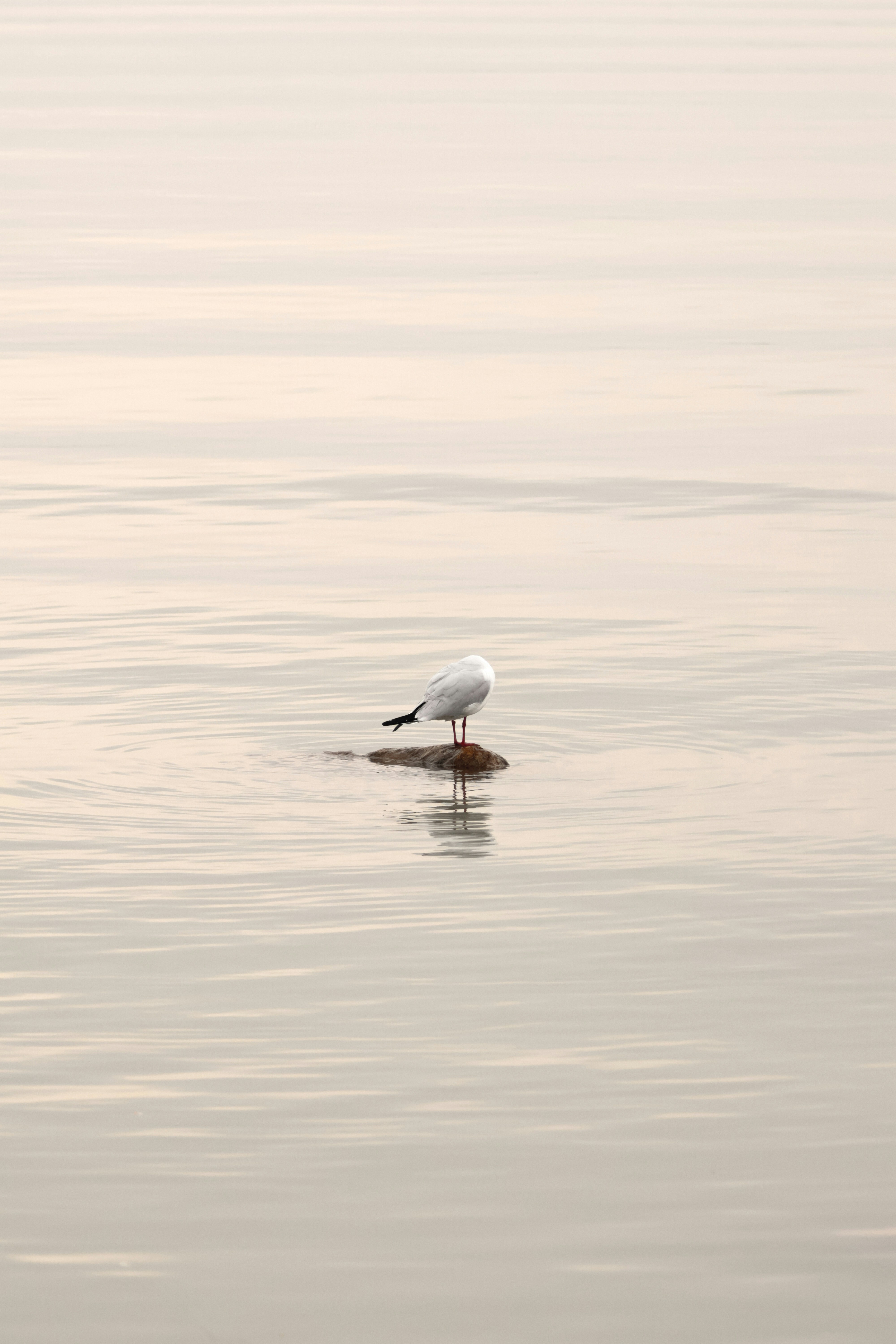 Photo by burakemrecr