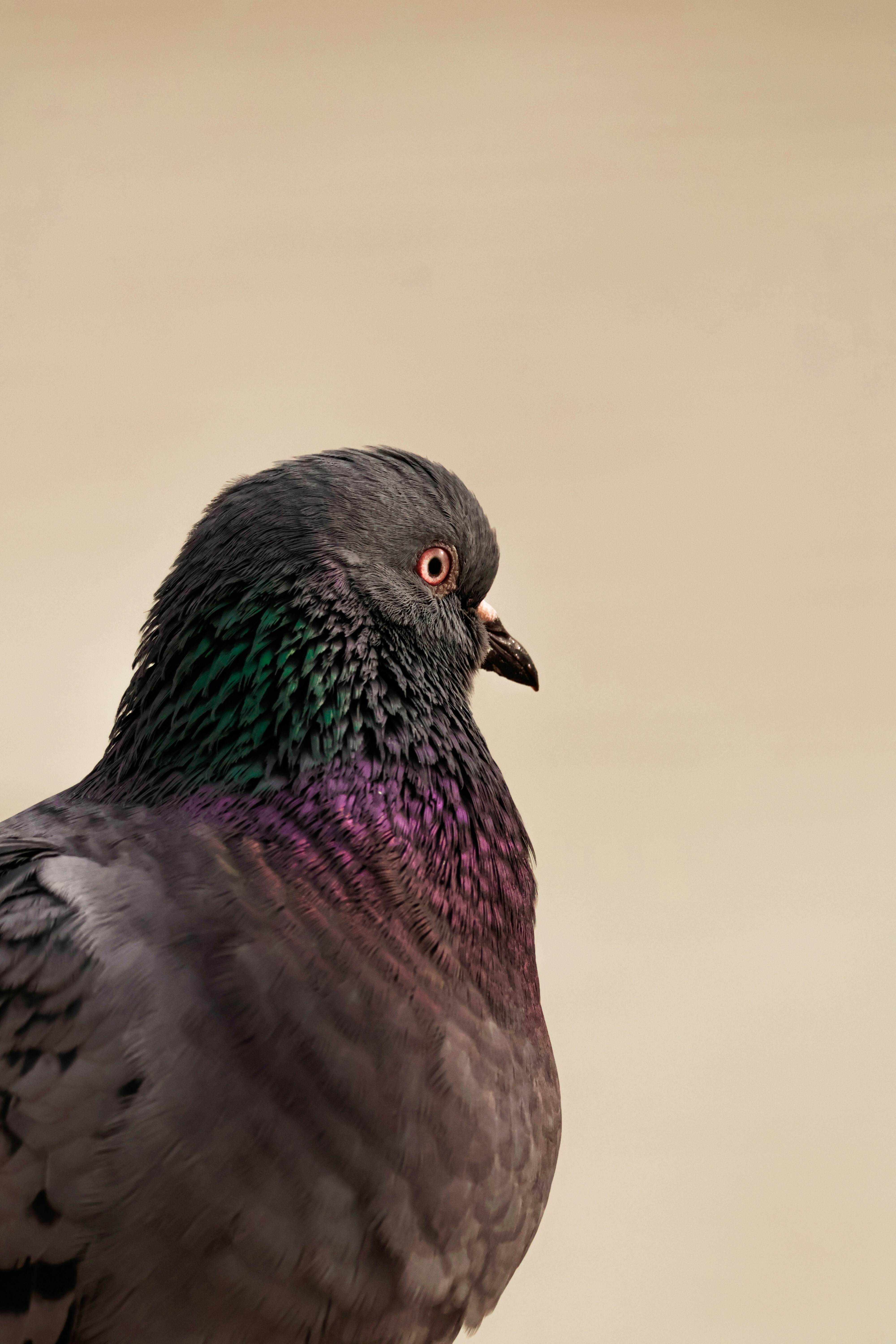 Photo by burakemrecr