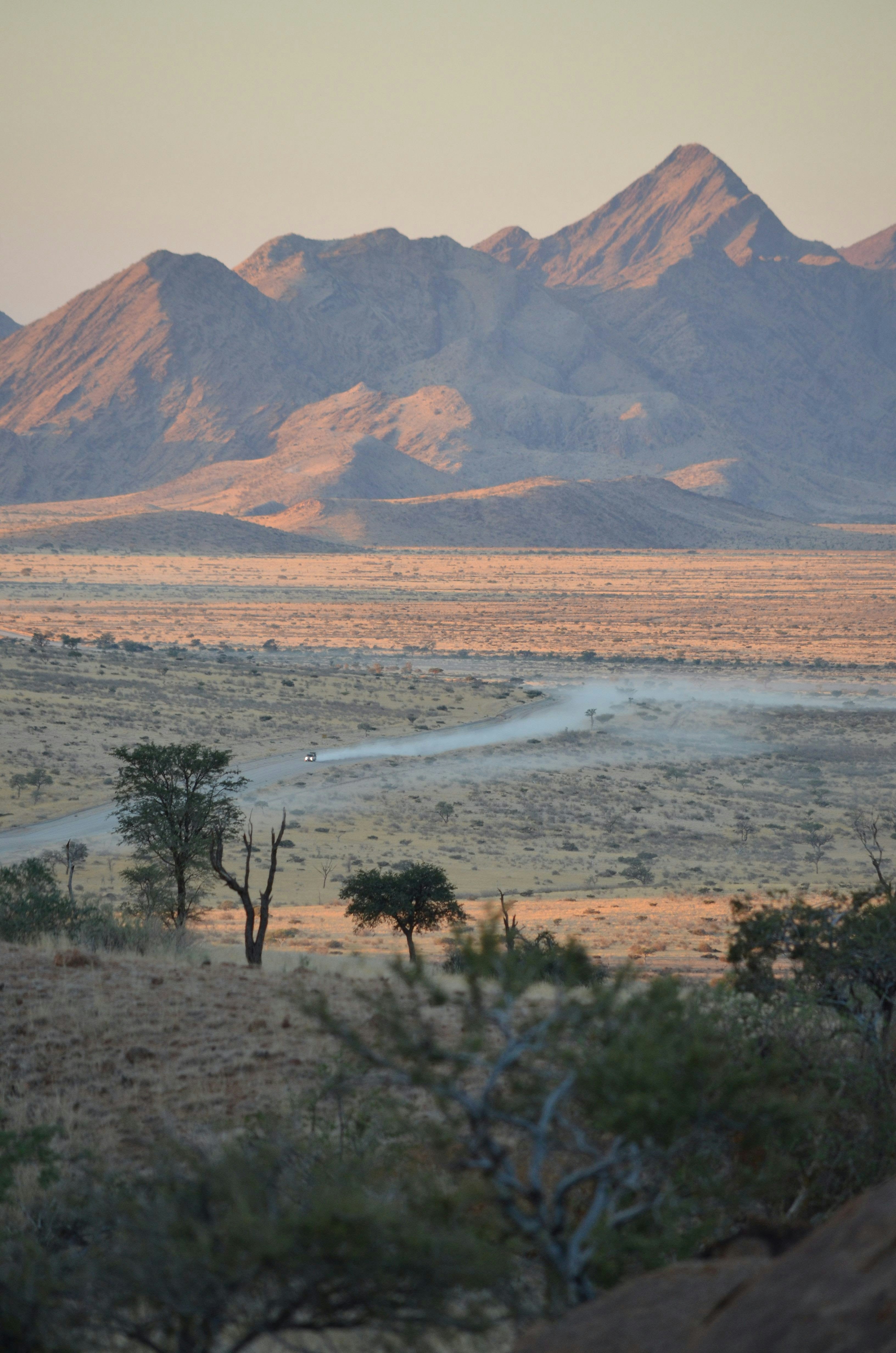 Desert landscape with mountains and a dirt road.