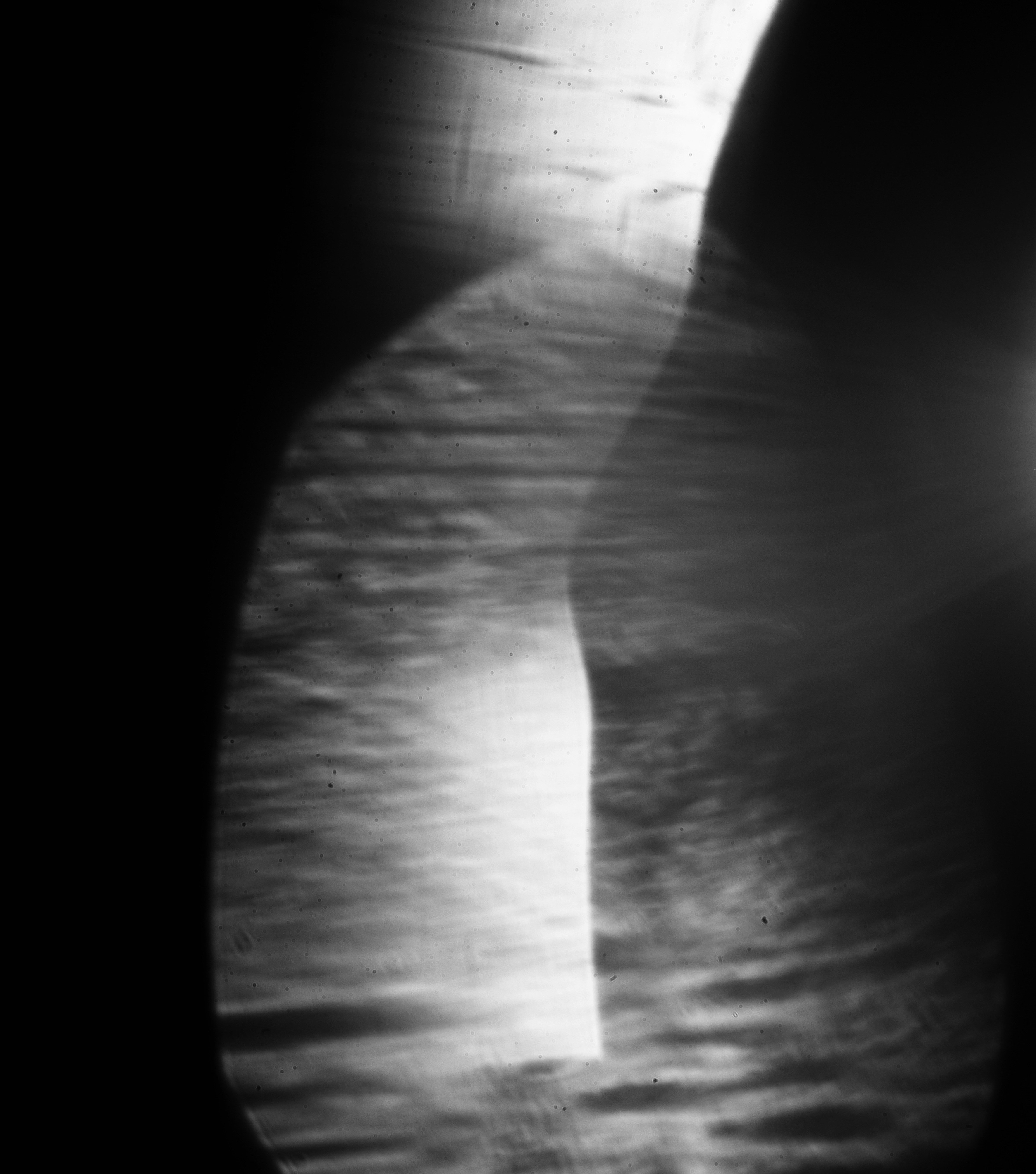 Photo by cherstve_pechivo