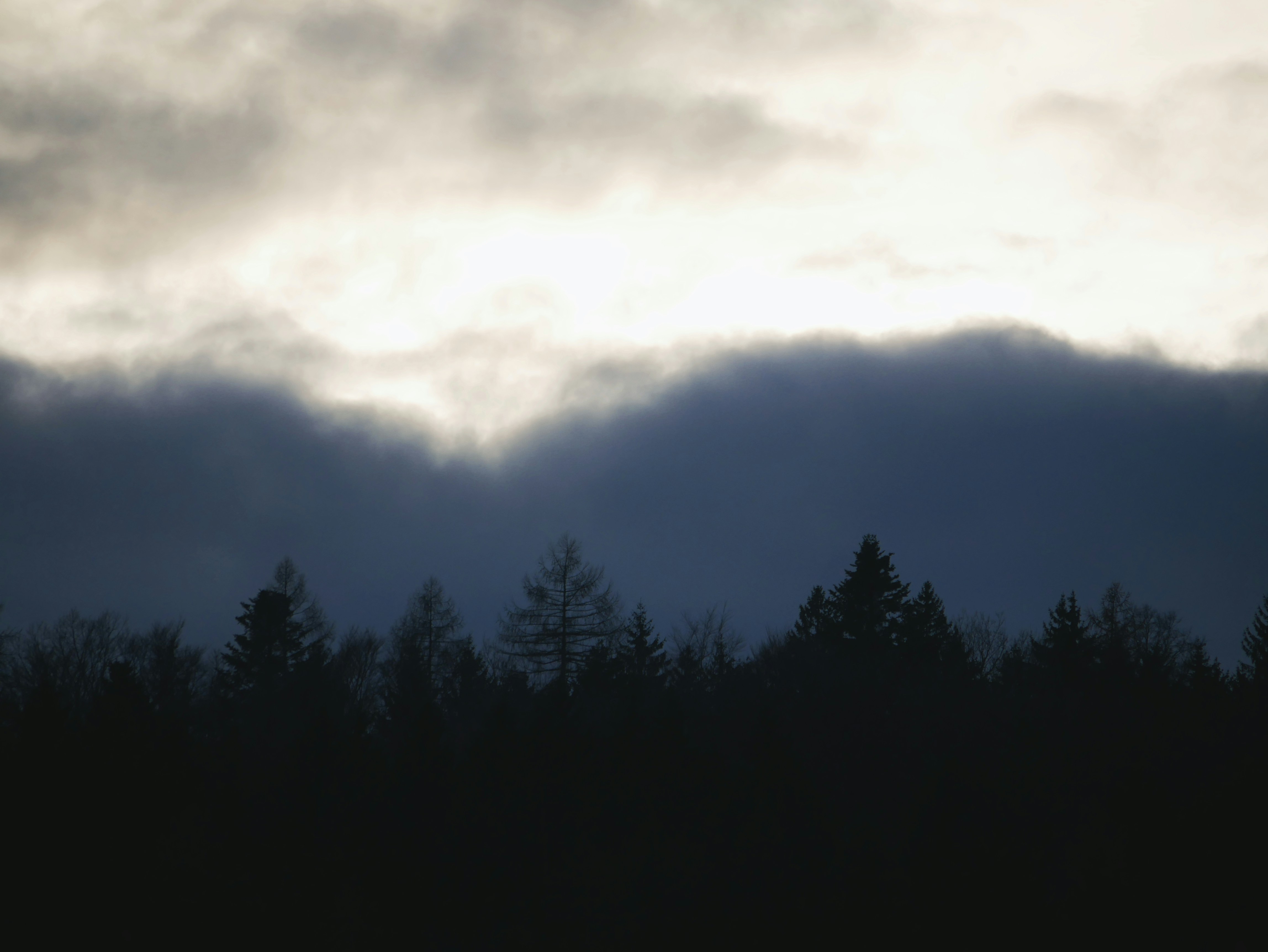 Dark forest silhouette against a dramatic cloudy sky