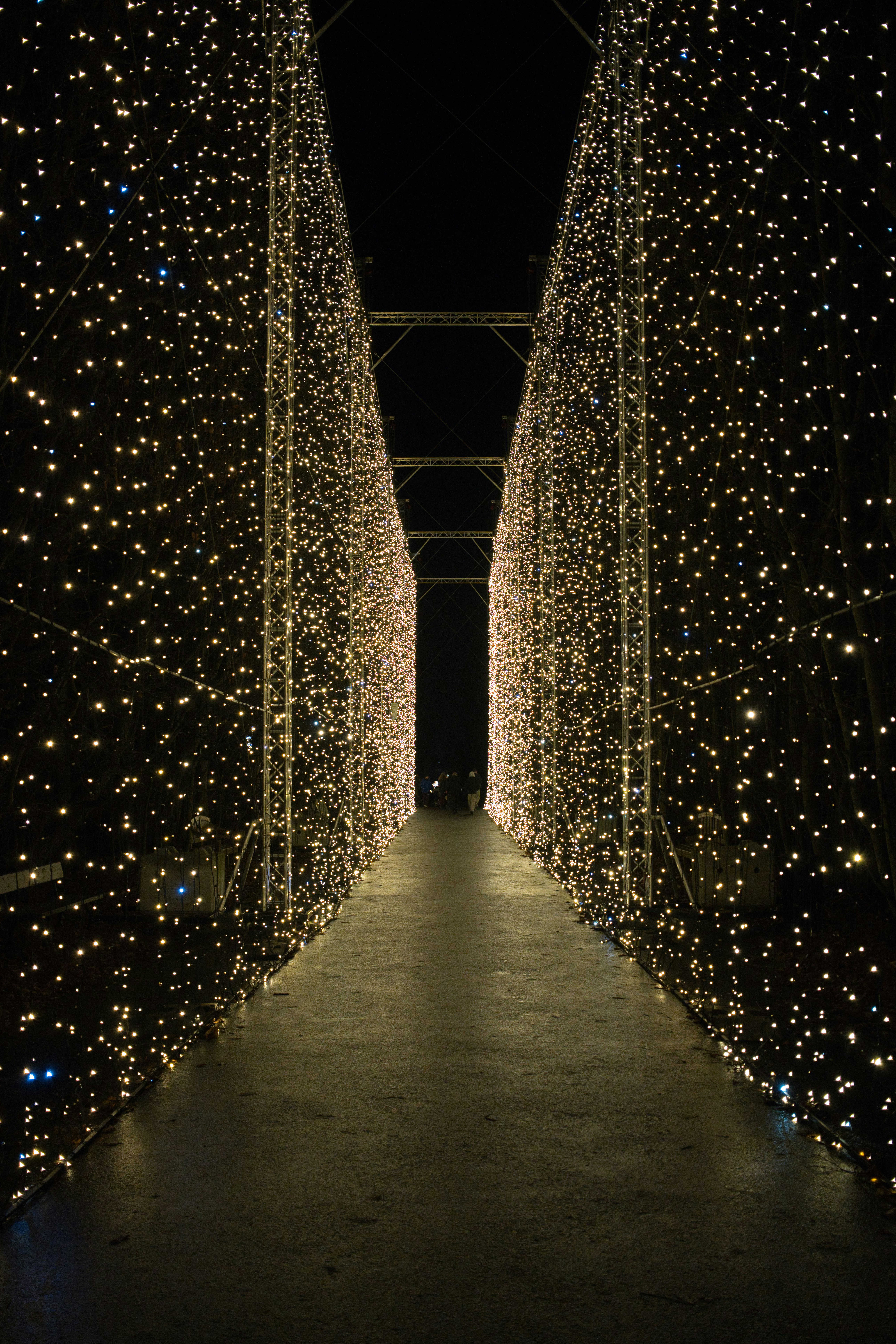 Walkway lined with glowing string lights at night