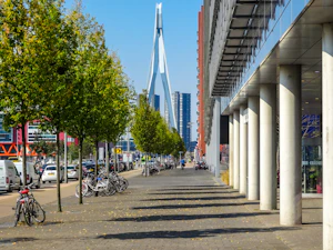 Rotterdam