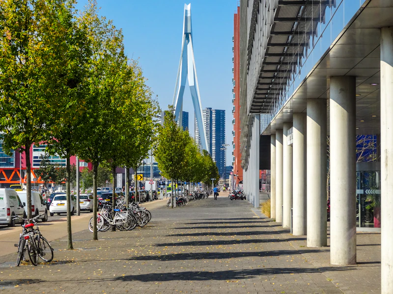 Best Walking Paths and Streets in Rotterdam to Explore on Foot
