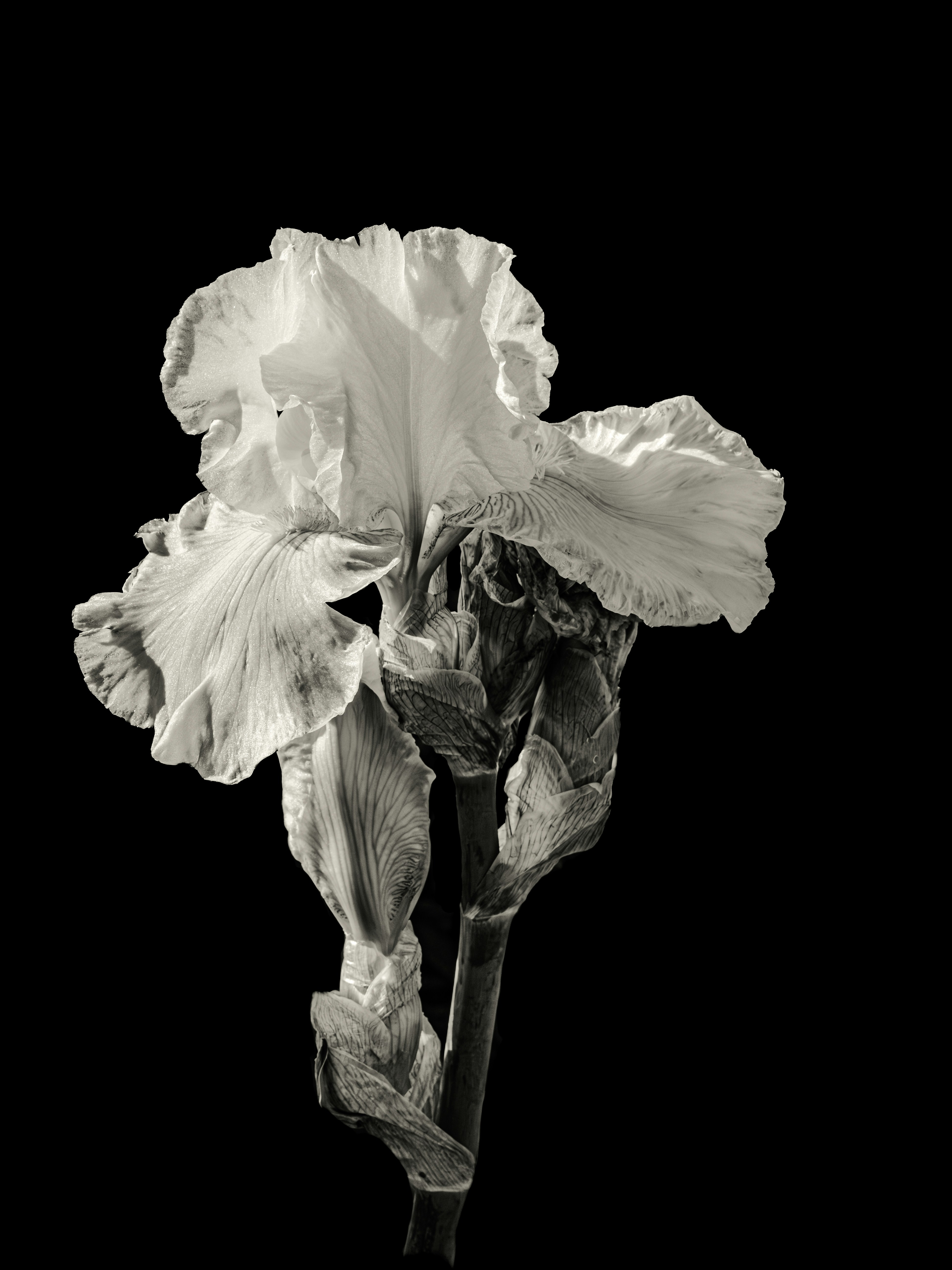 Photo by sschusterphotoart