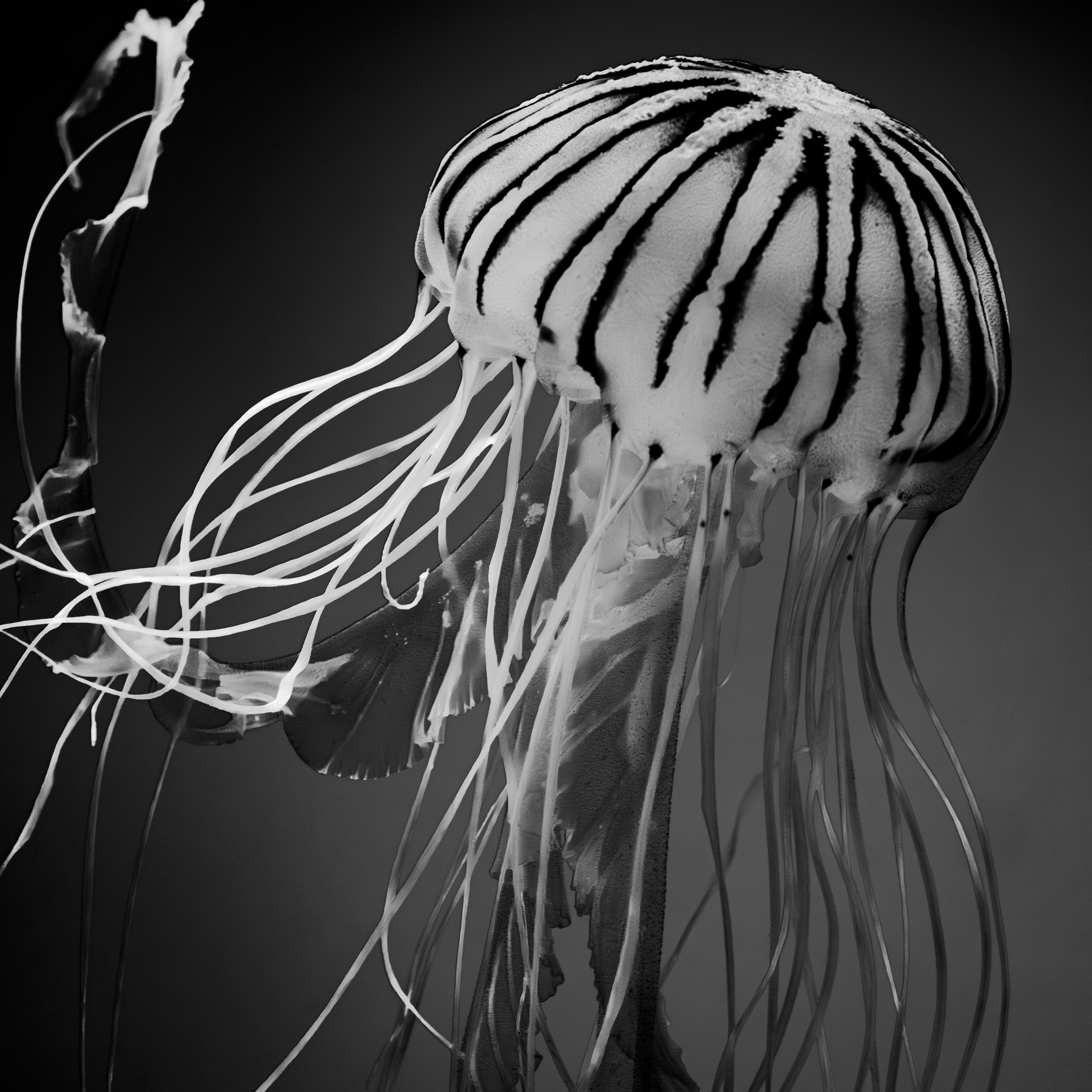 Photo by sschusterphotoart