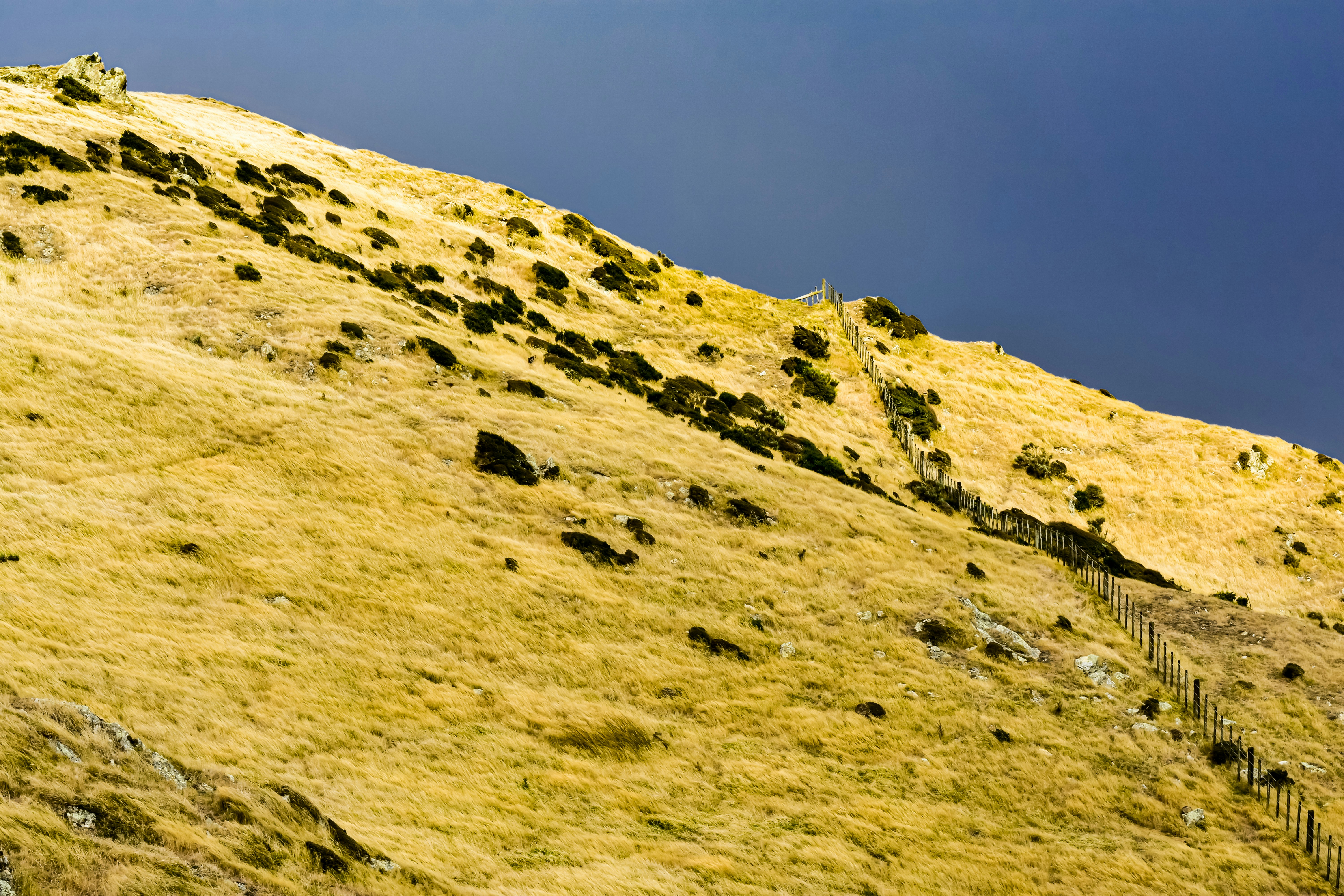 Photo by sschusterphotoart