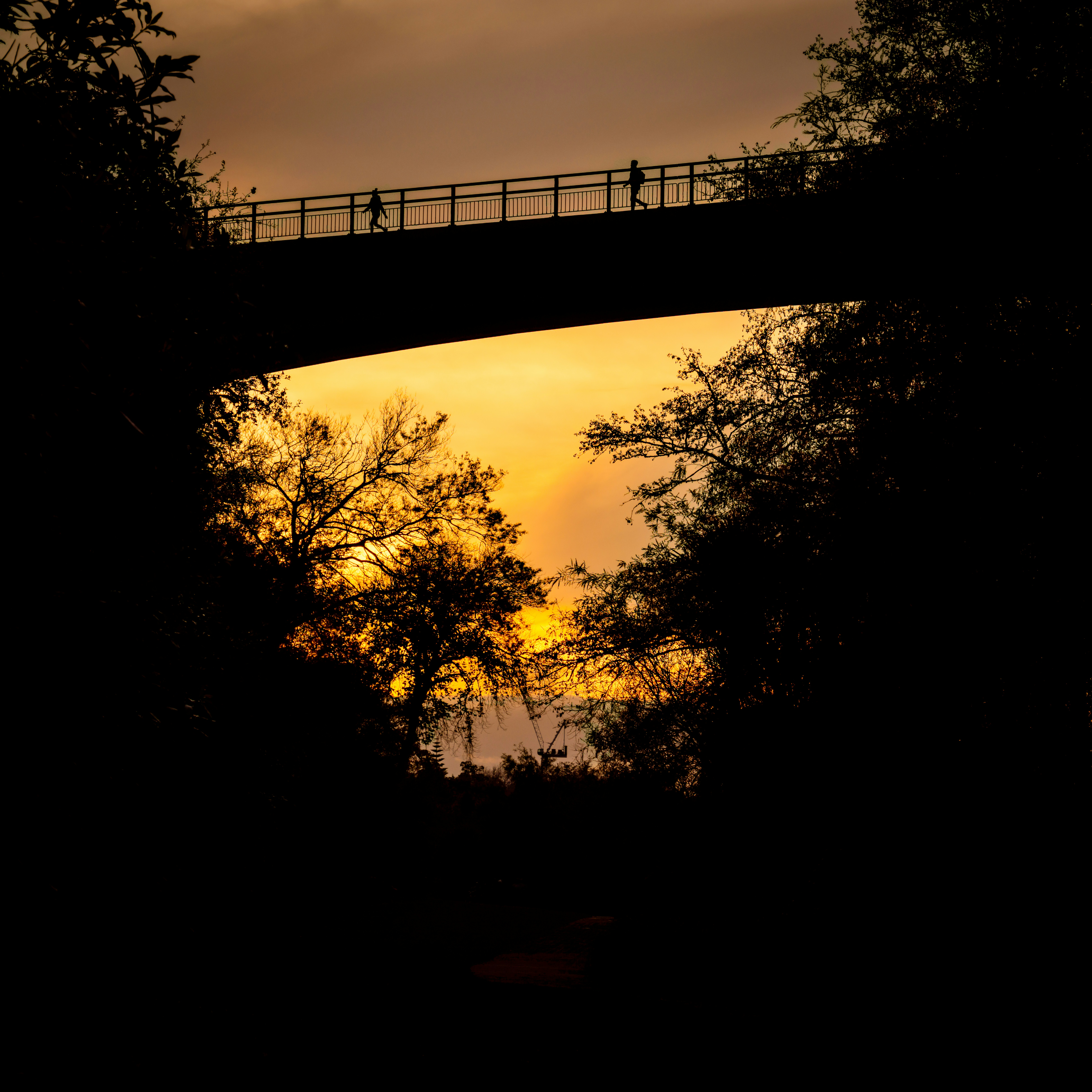 Photo by sschusterphotoart