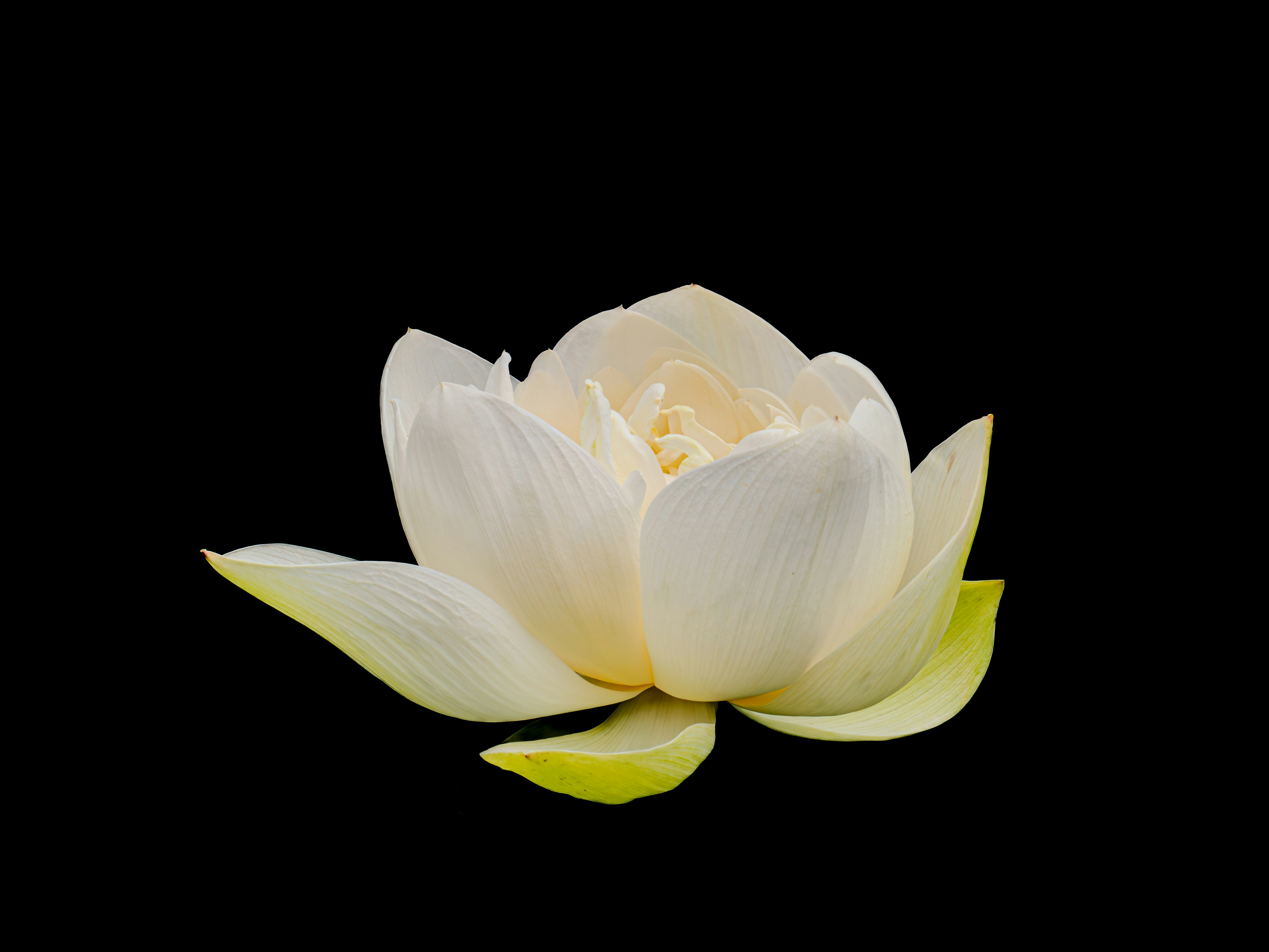 Photo by sschusterphotoart