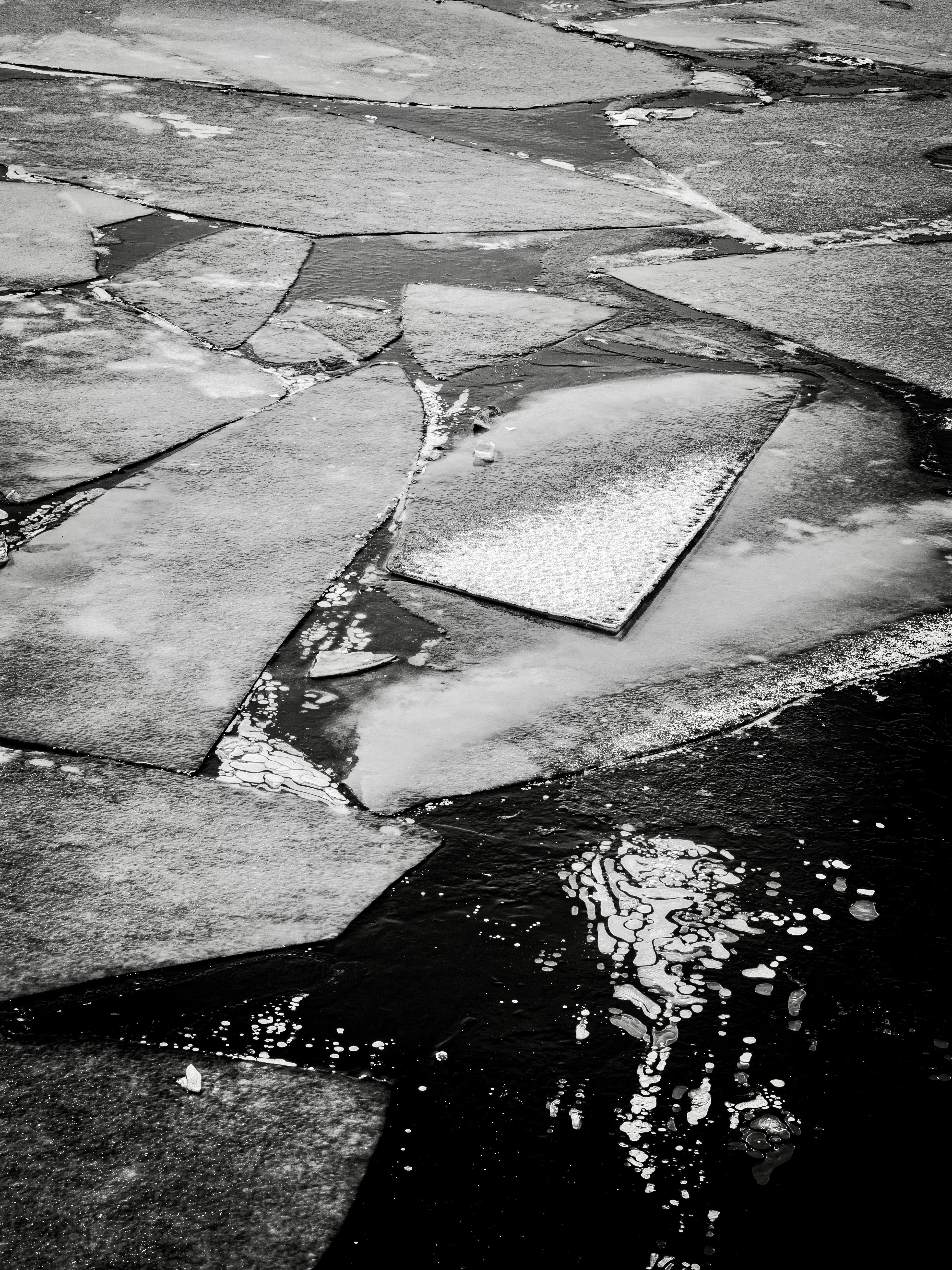 Photo by sschusterphotoart