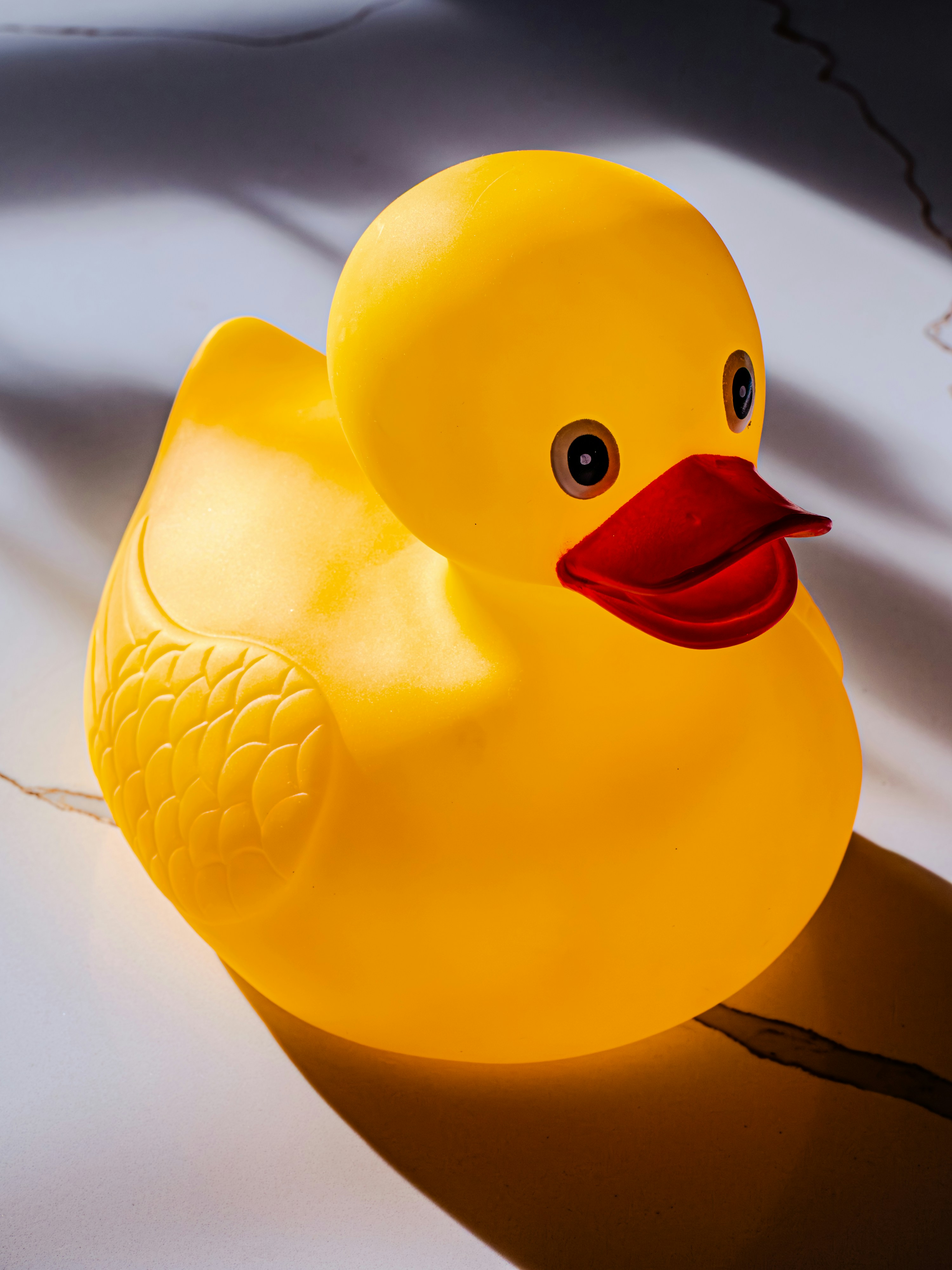 Photo by sschusterphotoart