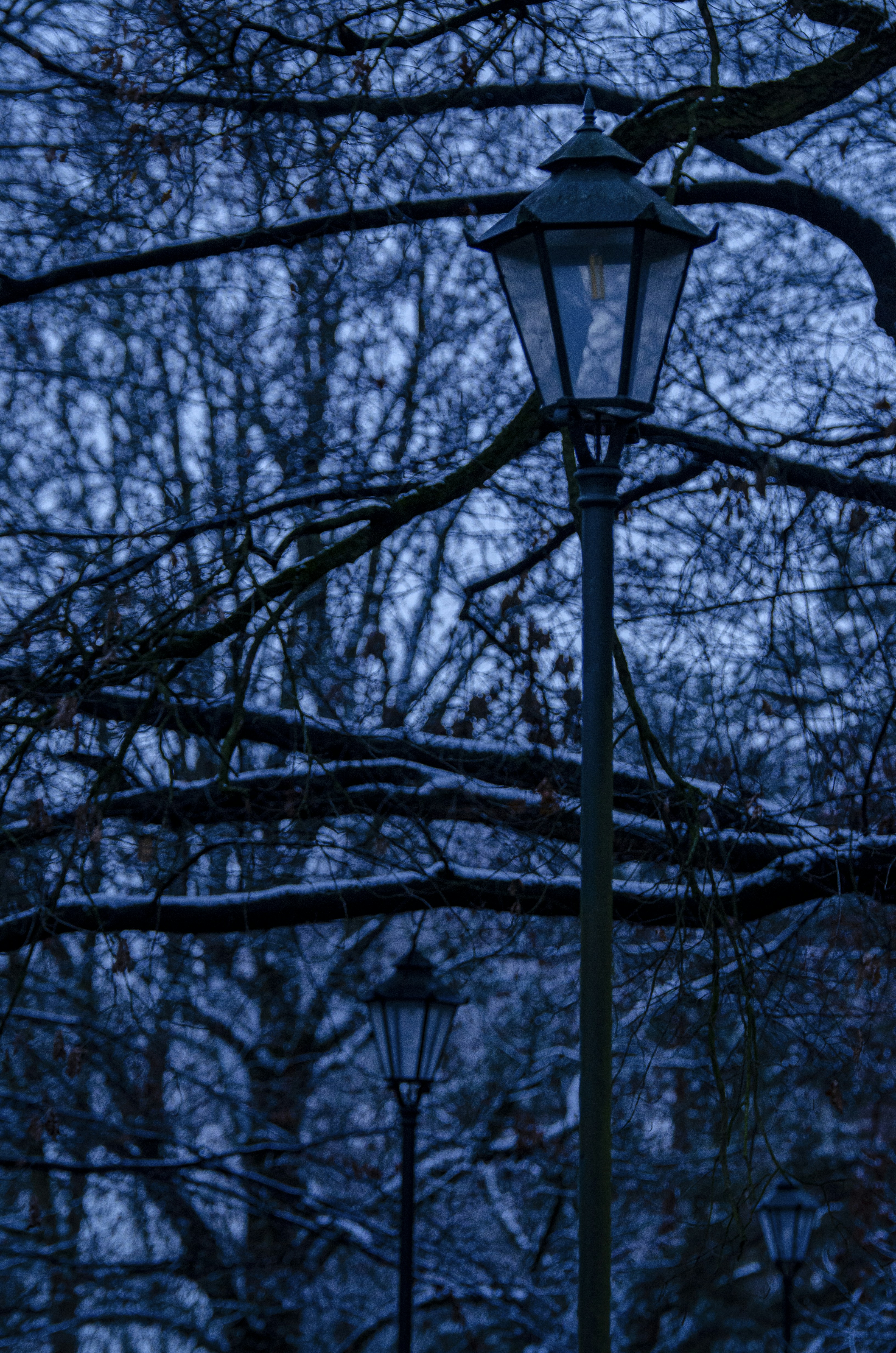 Photo by qmikola