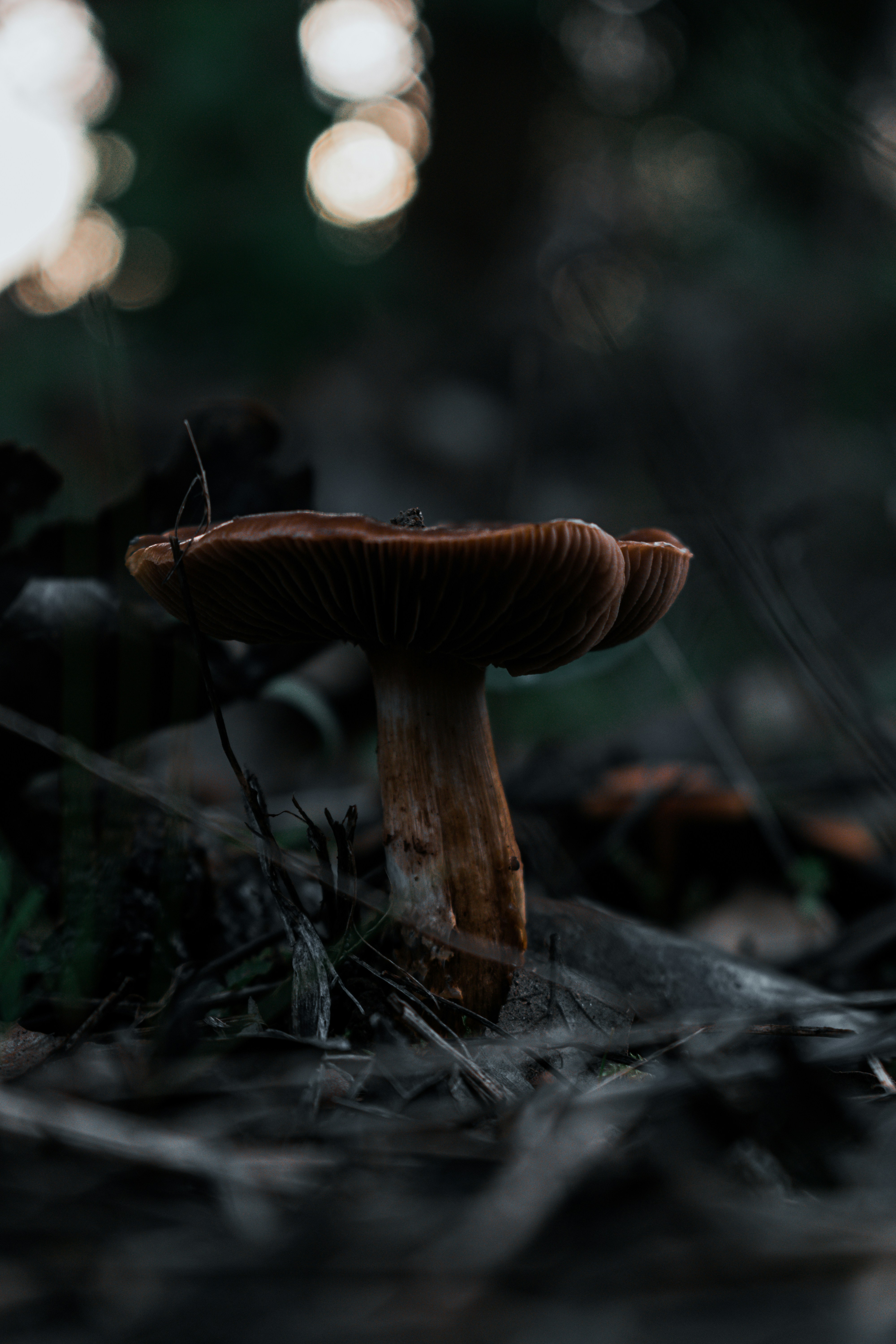 Photo by vadym_alyekseyenko